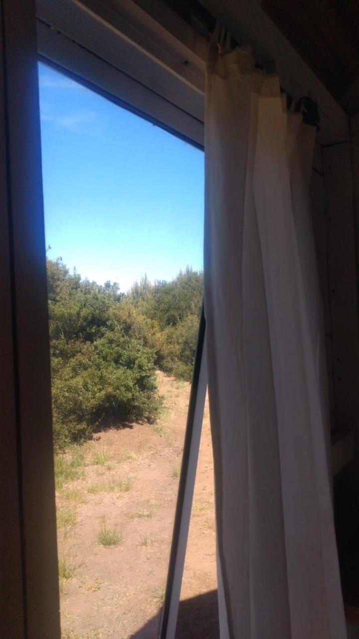 La Luisa en Llohue - modo verano -