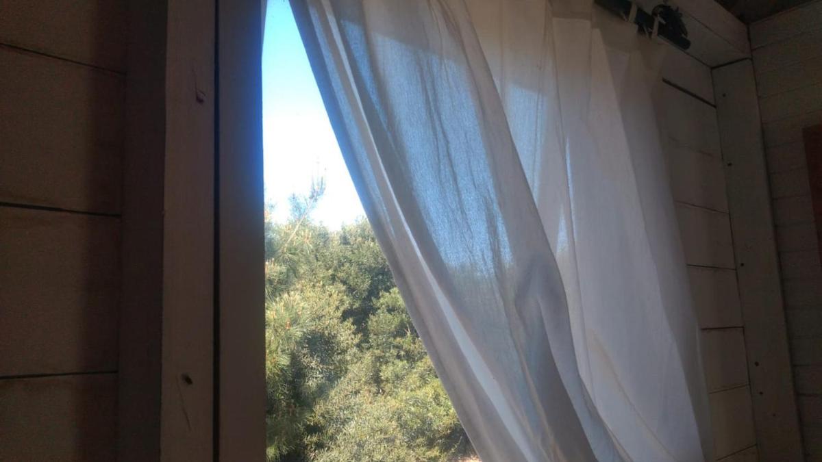 La Luisa en Llohue - modo verano -