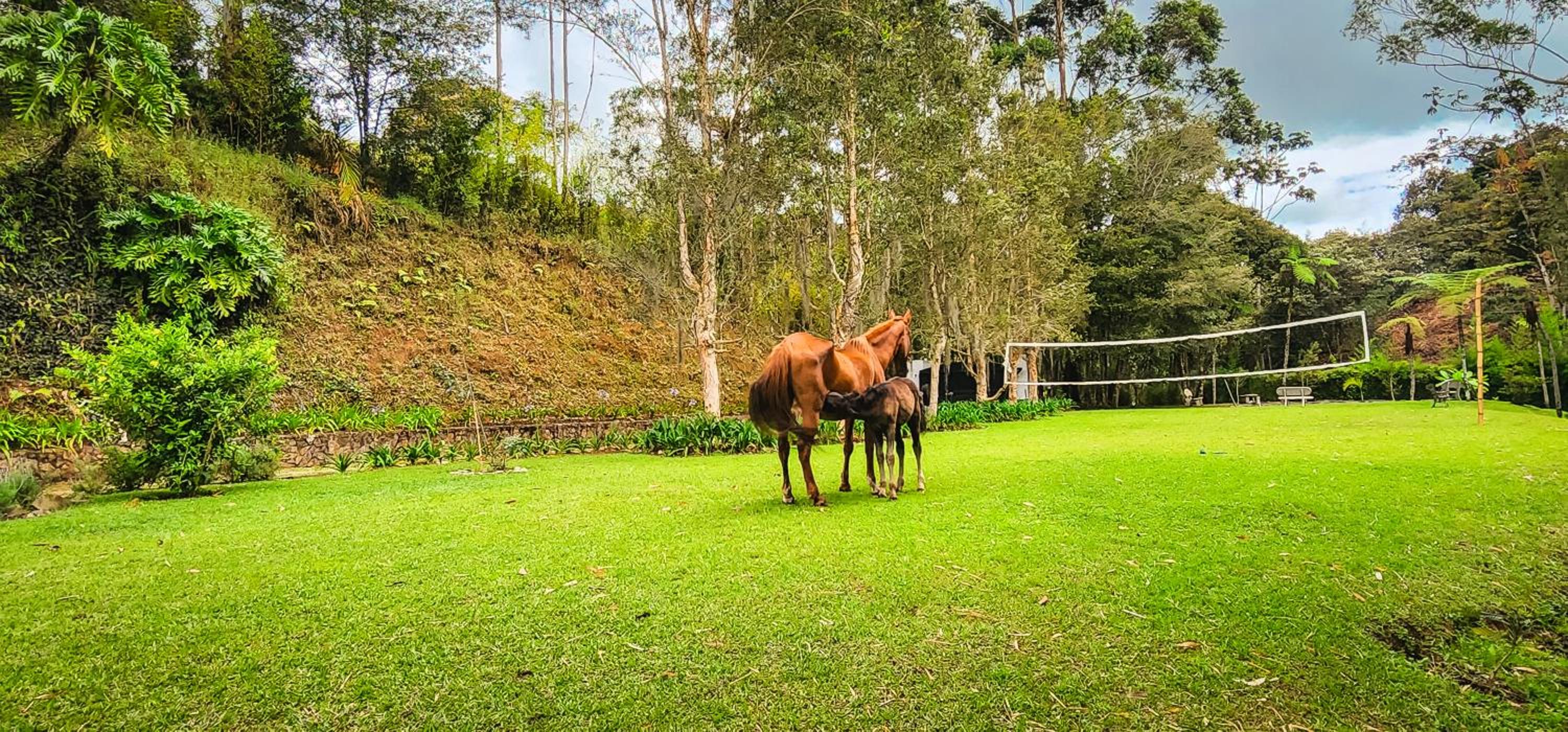 Finca La Hacienda