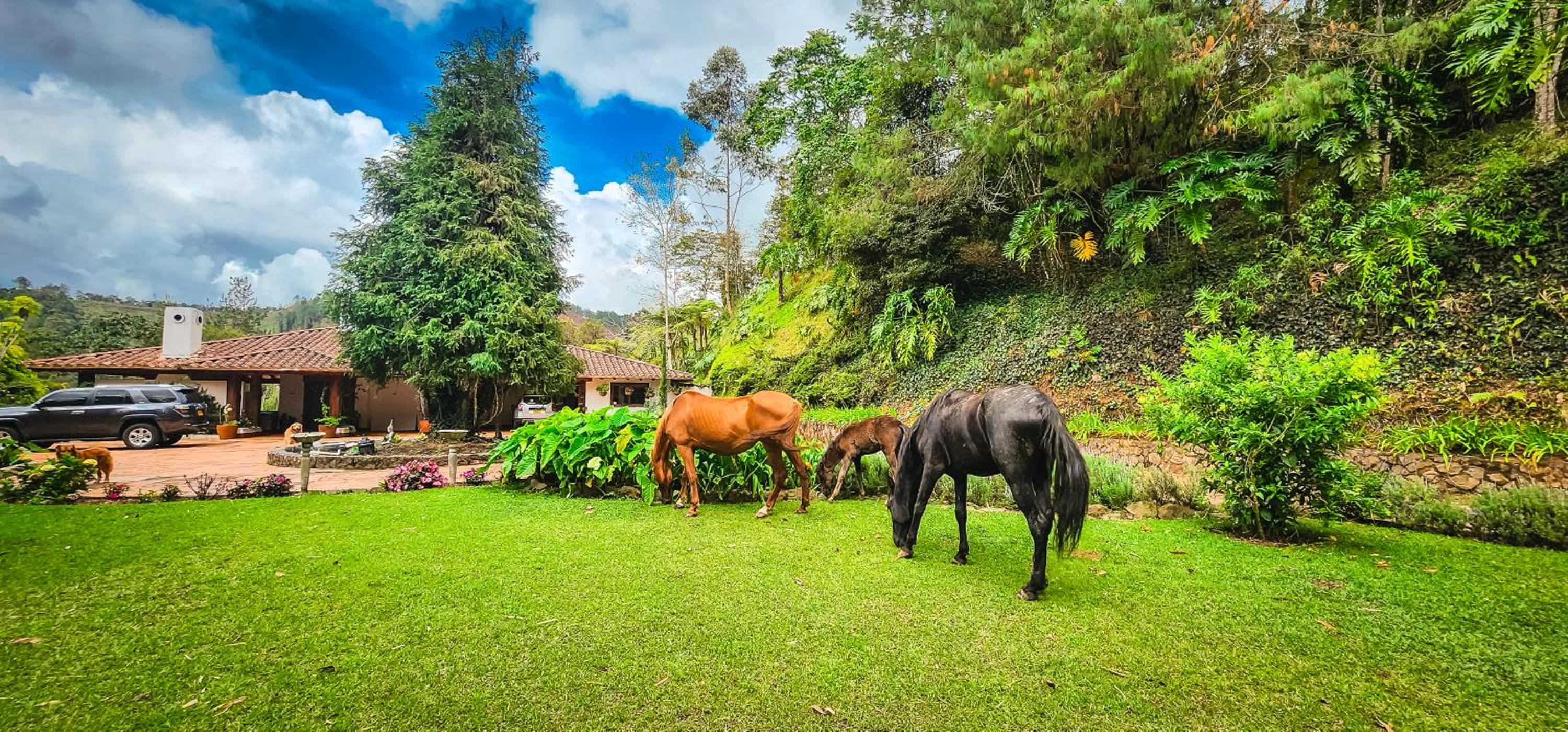 Finca La Hacienda