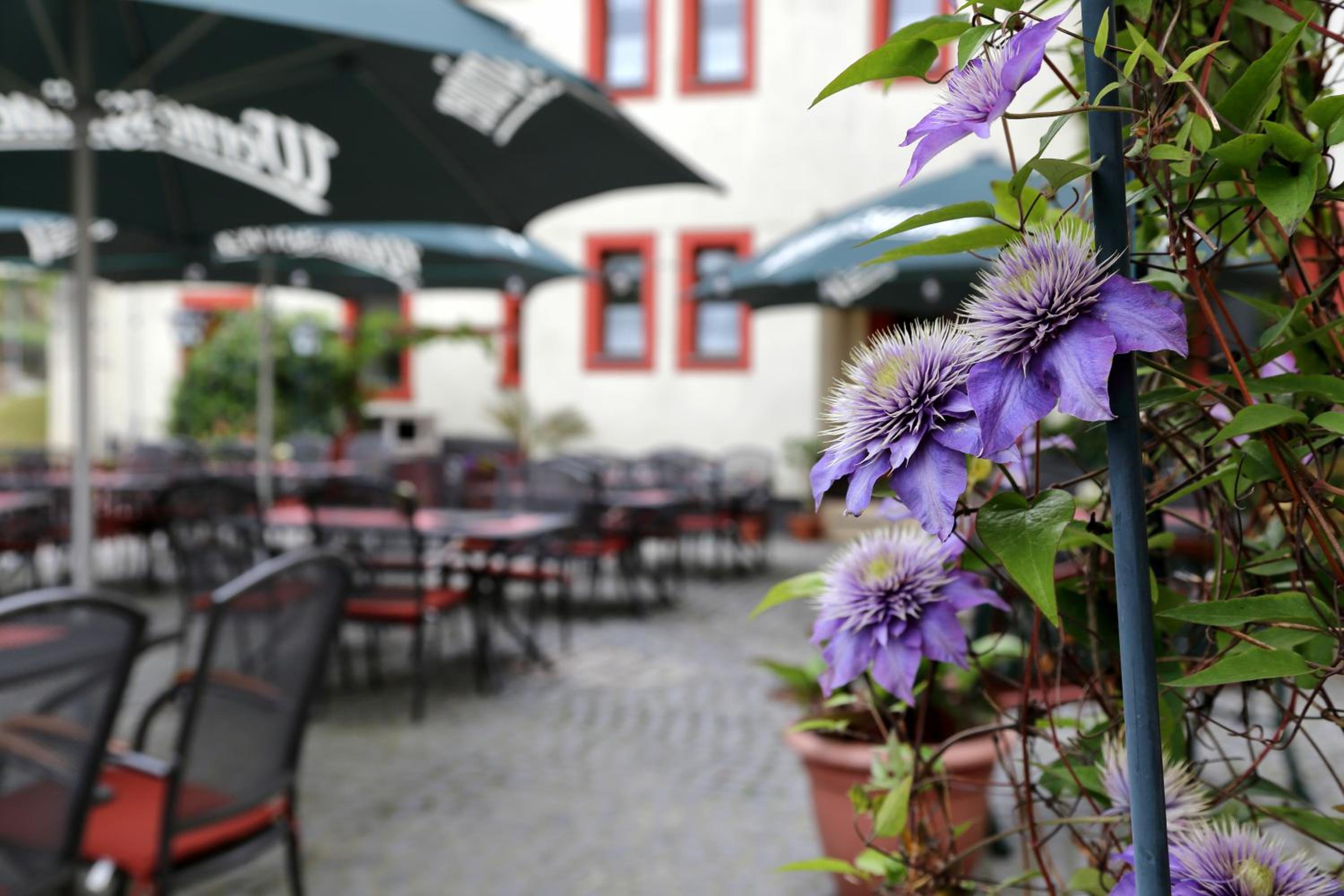 Gasthof und Hotel Roter Hirsch - Property Image 42