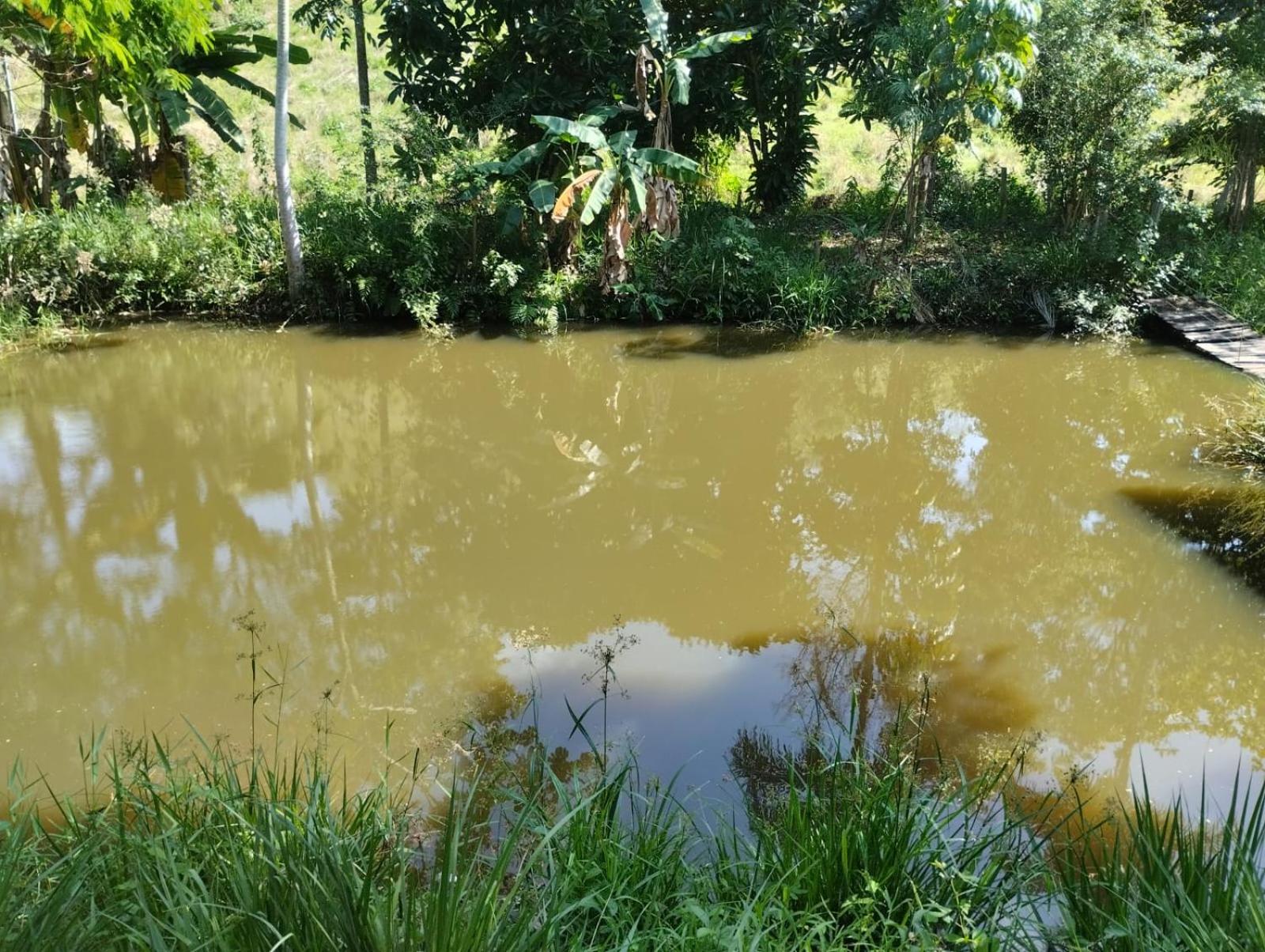 SITIO PONTEIO DE VIOLA