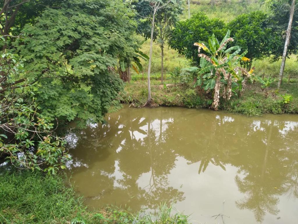 SITIO PONTEIO DE VIOLA