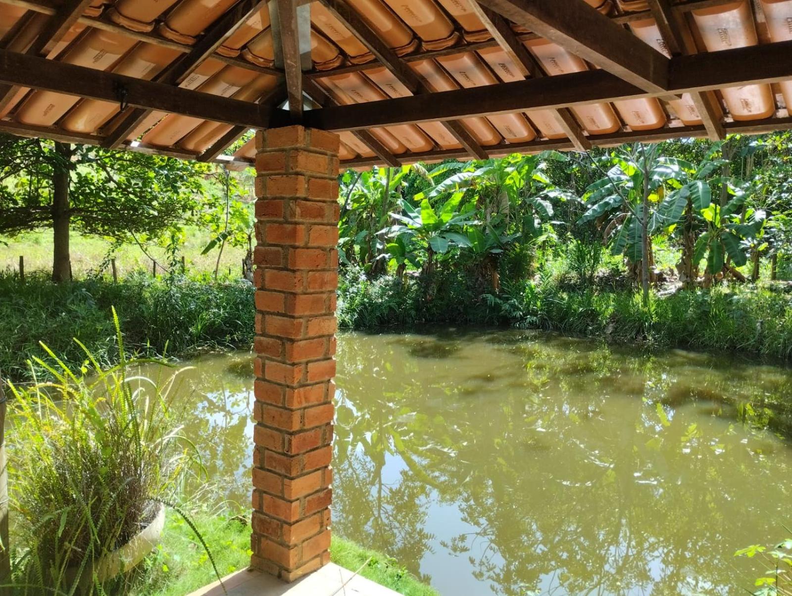 SITIO PONTEIO DE VIOLA