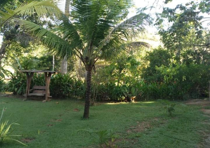 SITIO PONTEIO DE VIOLA