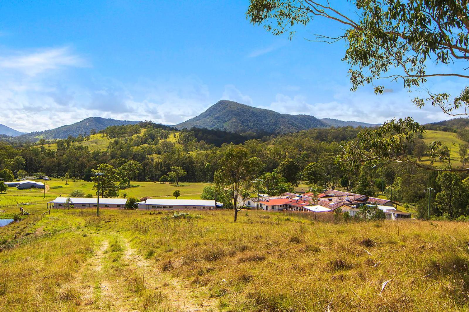 Altamira Along Bakers Creek