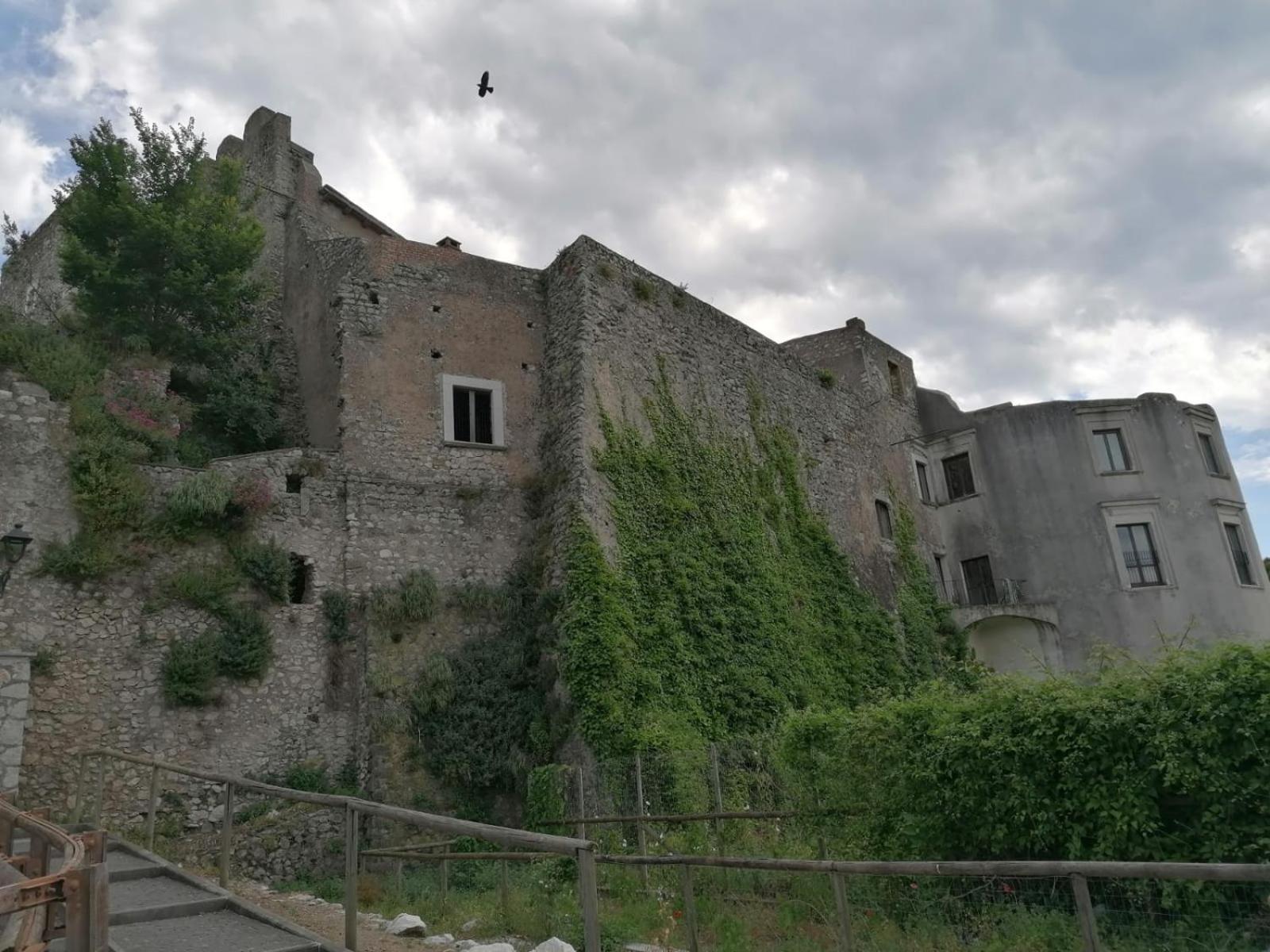Photo 13