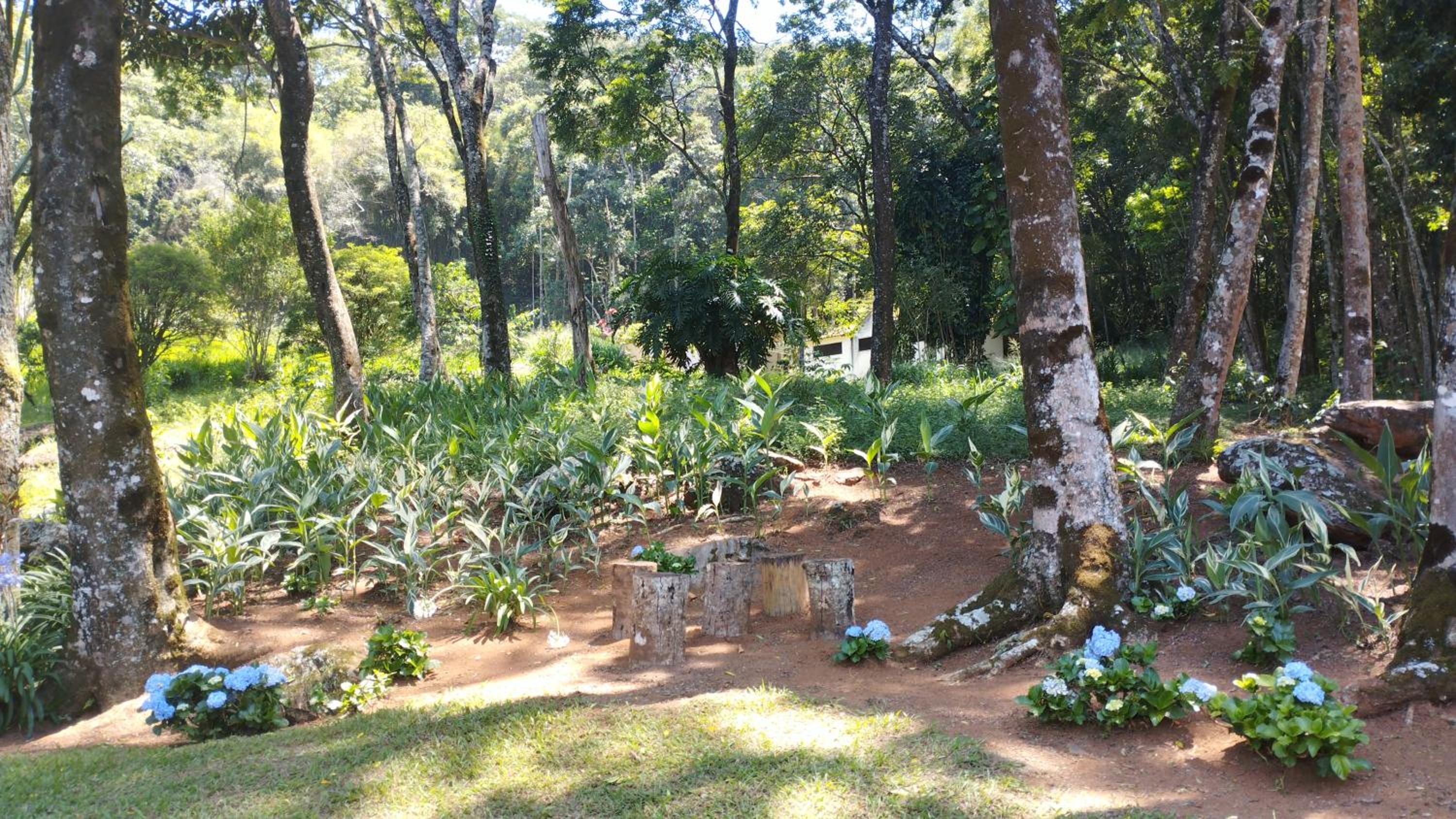 Sítio Vila de Santa Barbara