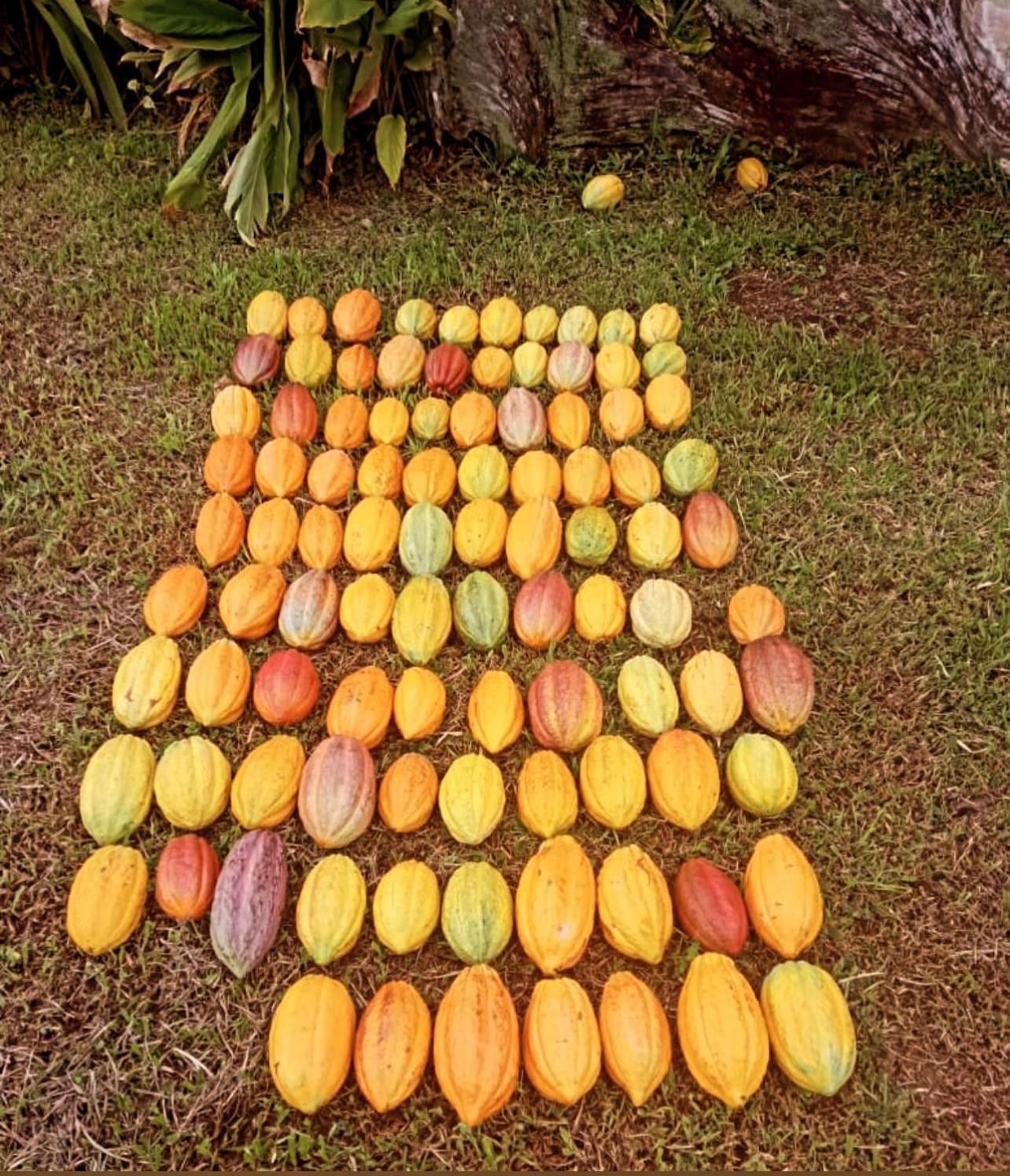 Río Celeste, Cacahua Lodge