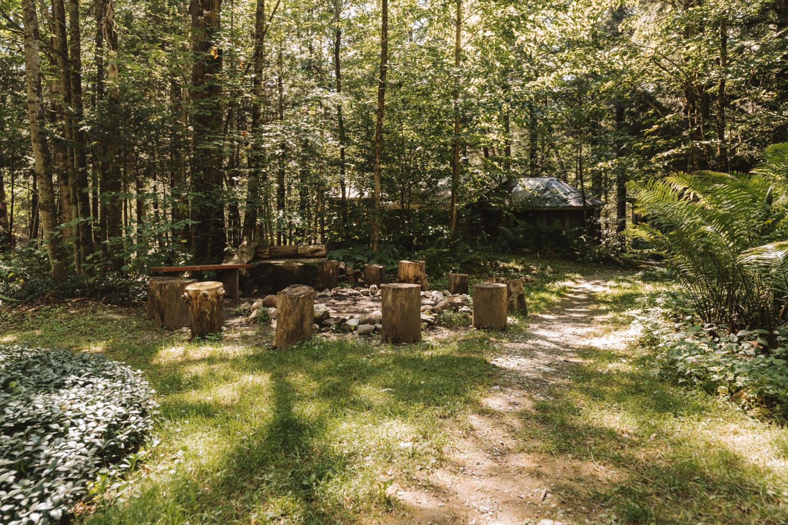 Auberge Yoga Salamandre
