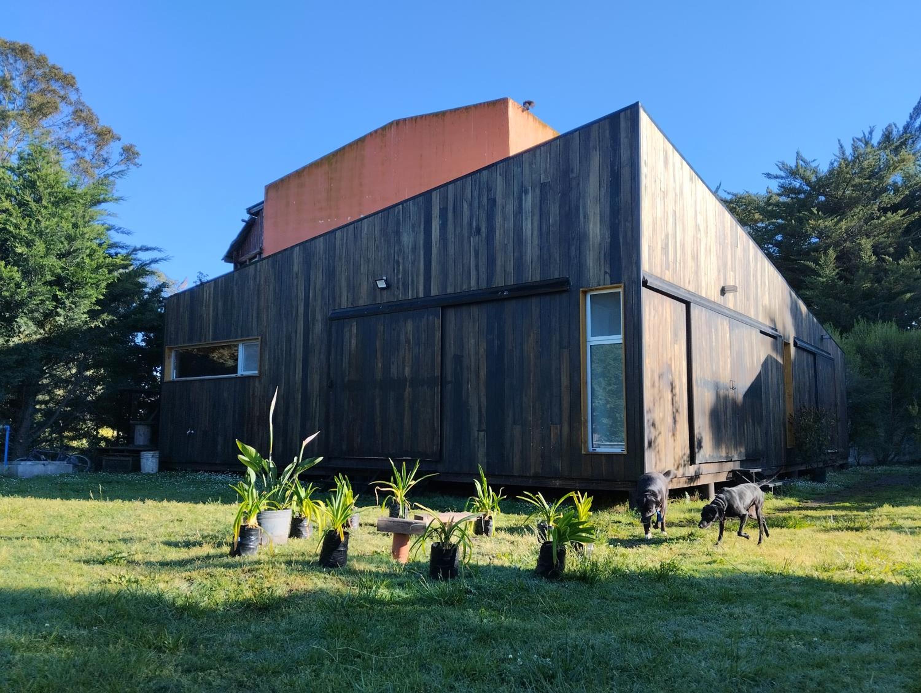 building