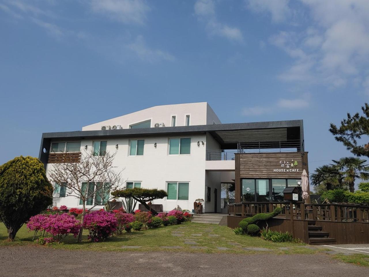 Moon Forest Guesthouse view 3