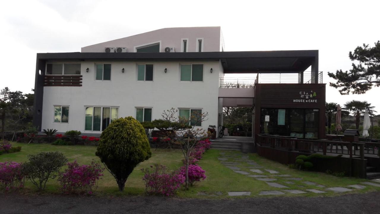 Moon Forest Guesthouse view 5