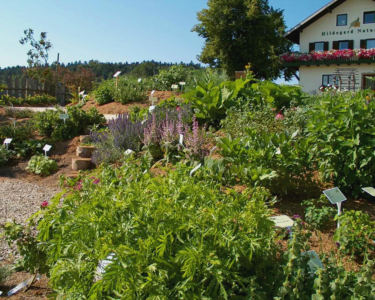 Hildegard Naturhaus