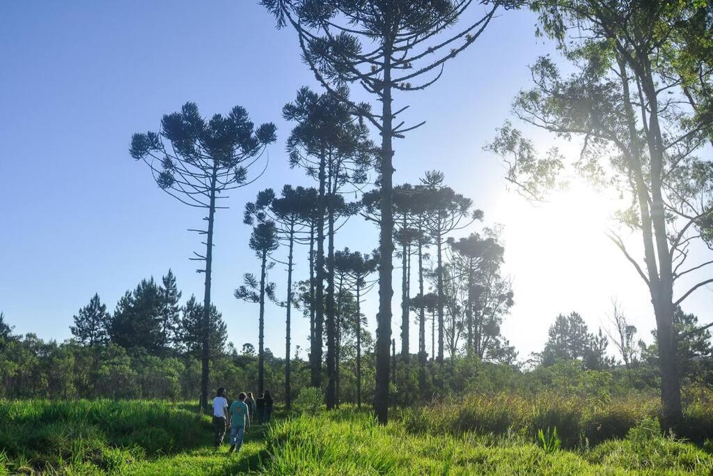 Casa de Fazenda na Ecovila Sustentar, 38km de SP
