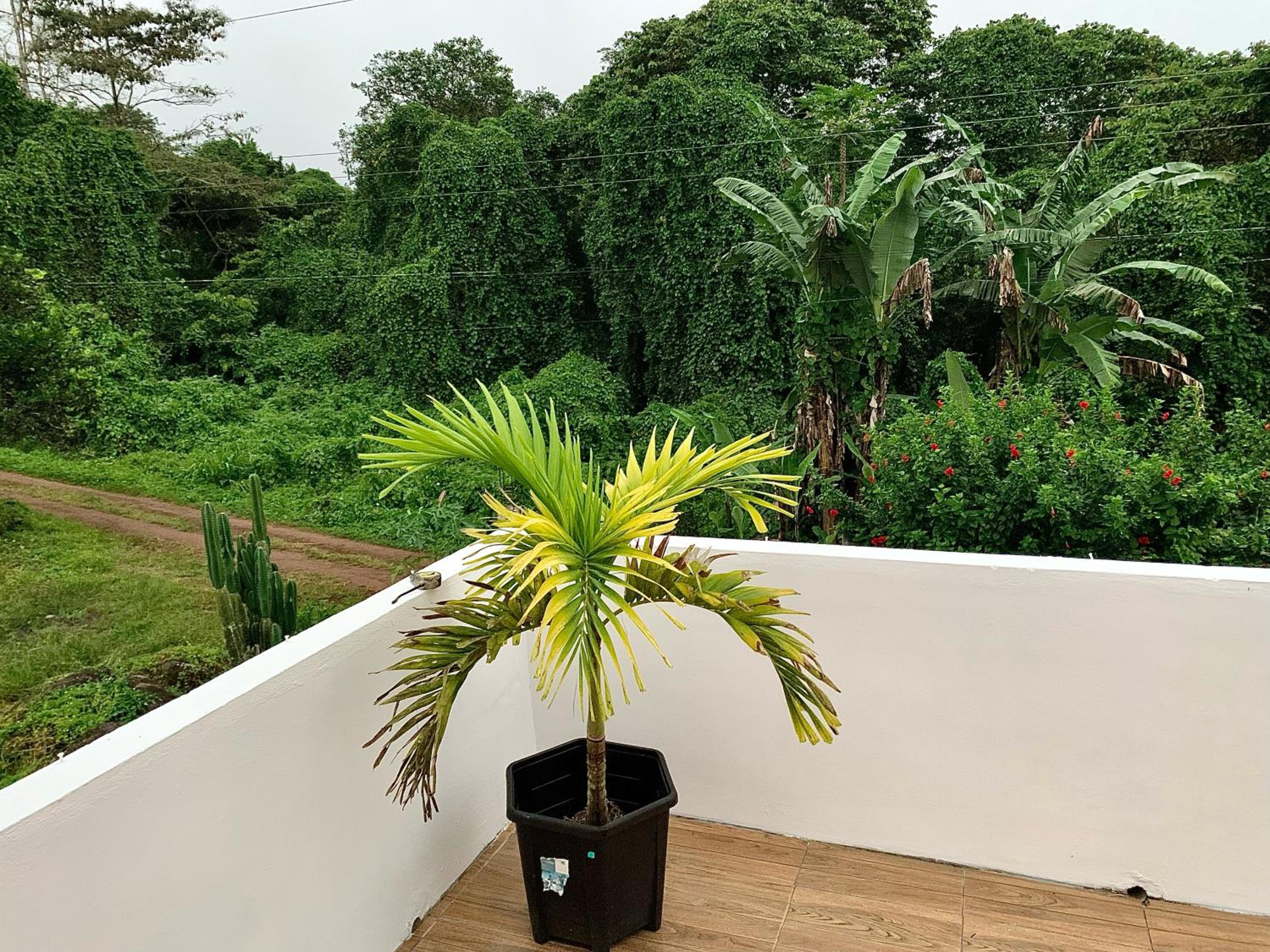 Amancay House, Jacuzzi and Pool