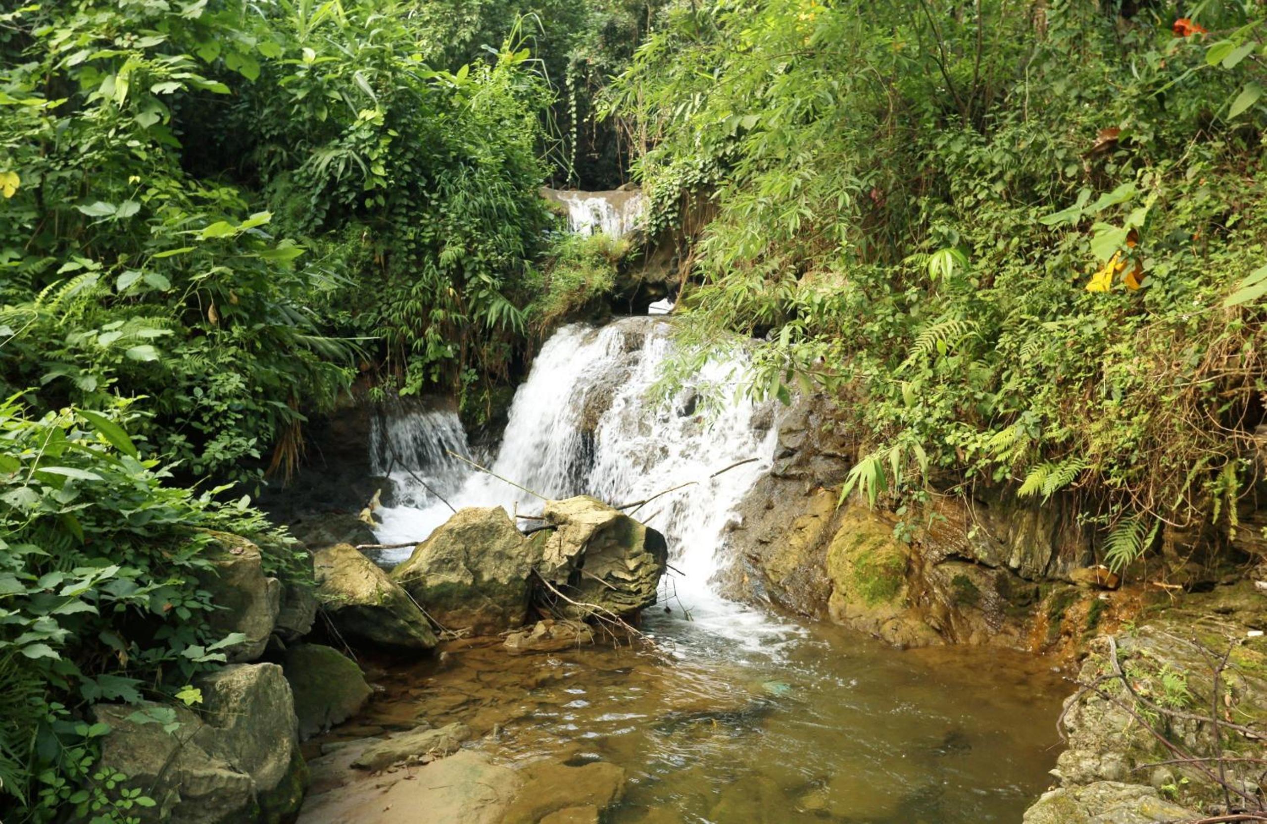 Thái Sơn Homestay view 4
