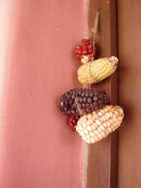 La Calabaza Cabaña