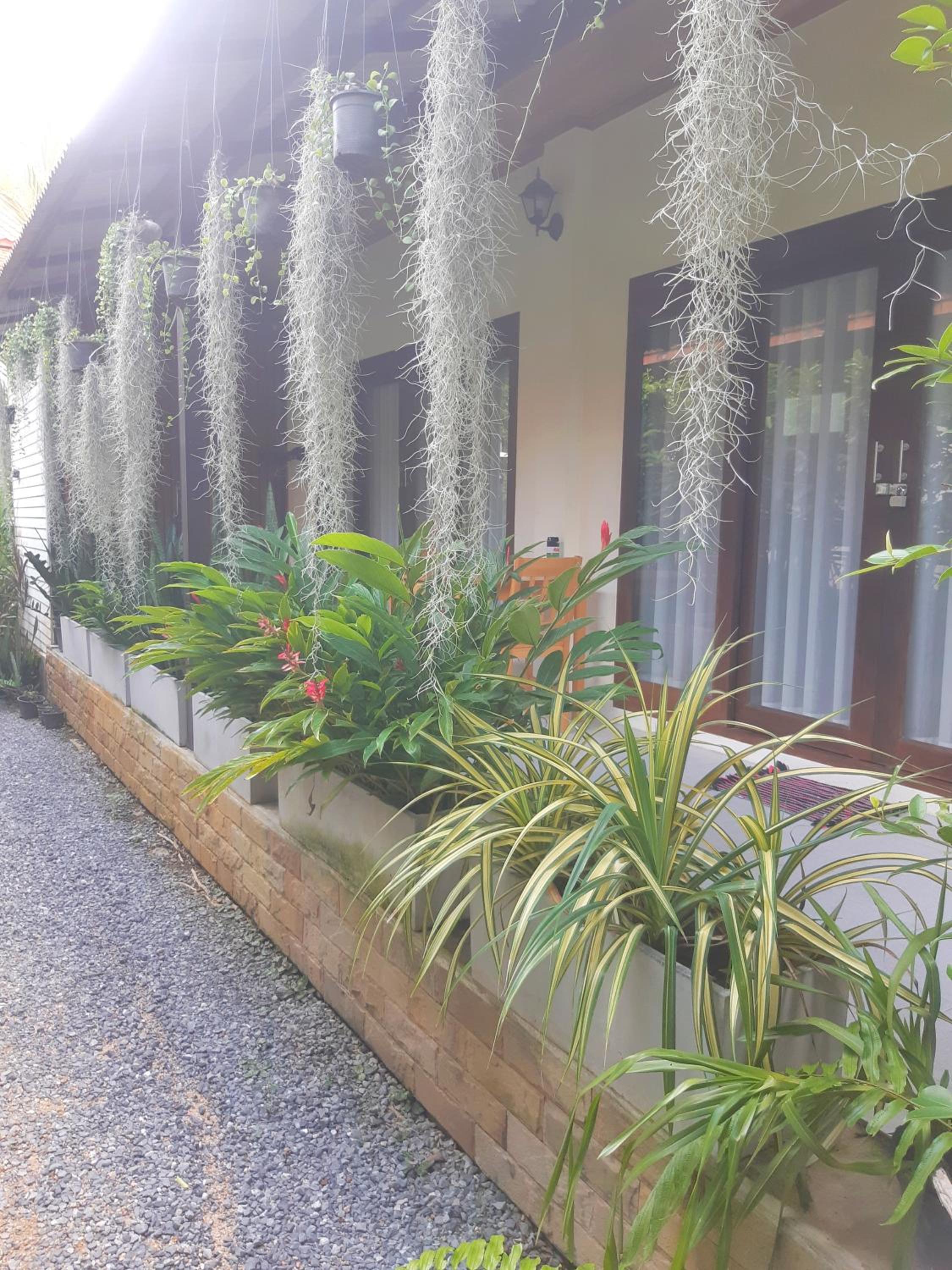 Chaba Villas view 3