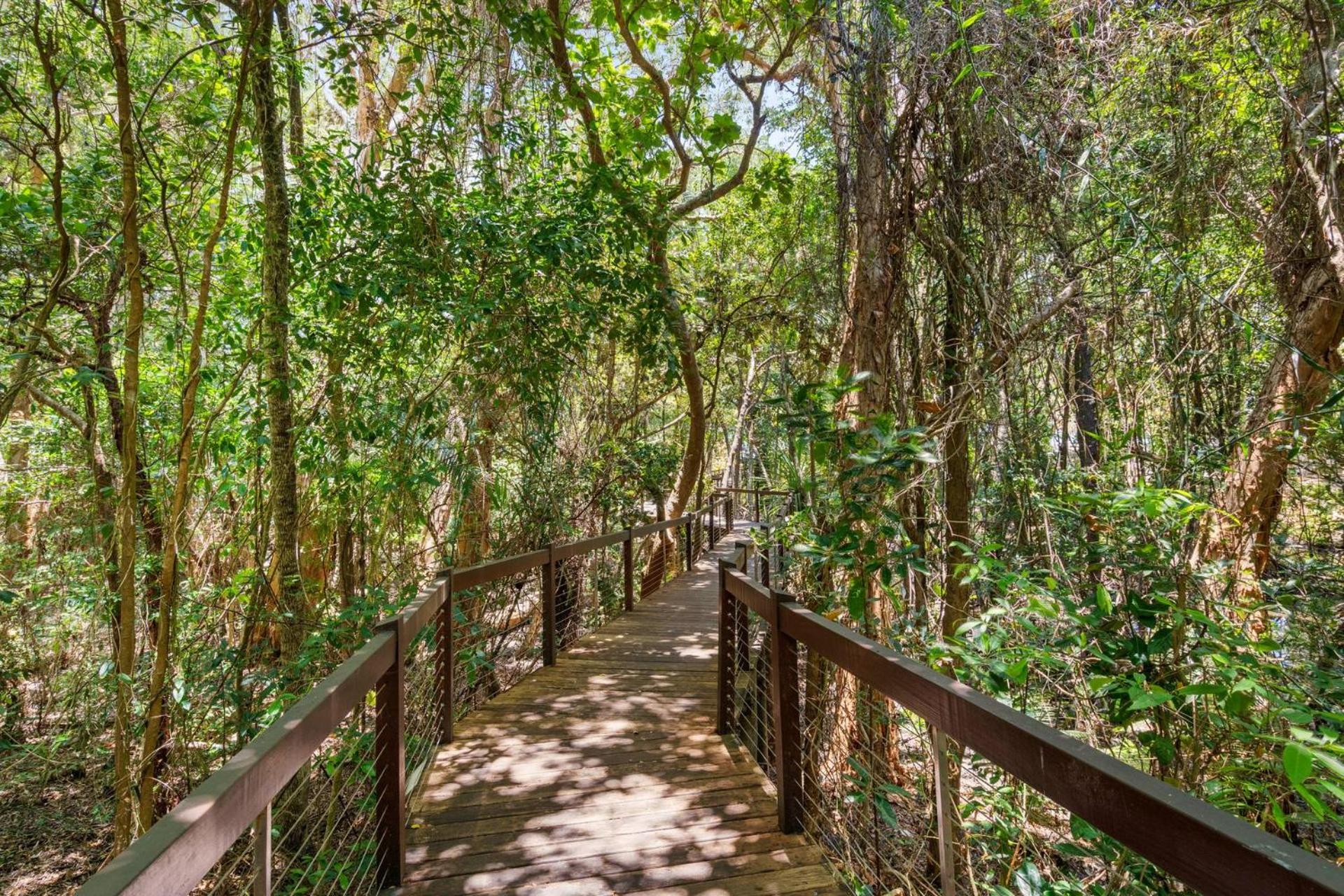 Belle Escapes 60 Ocean Palm Cove