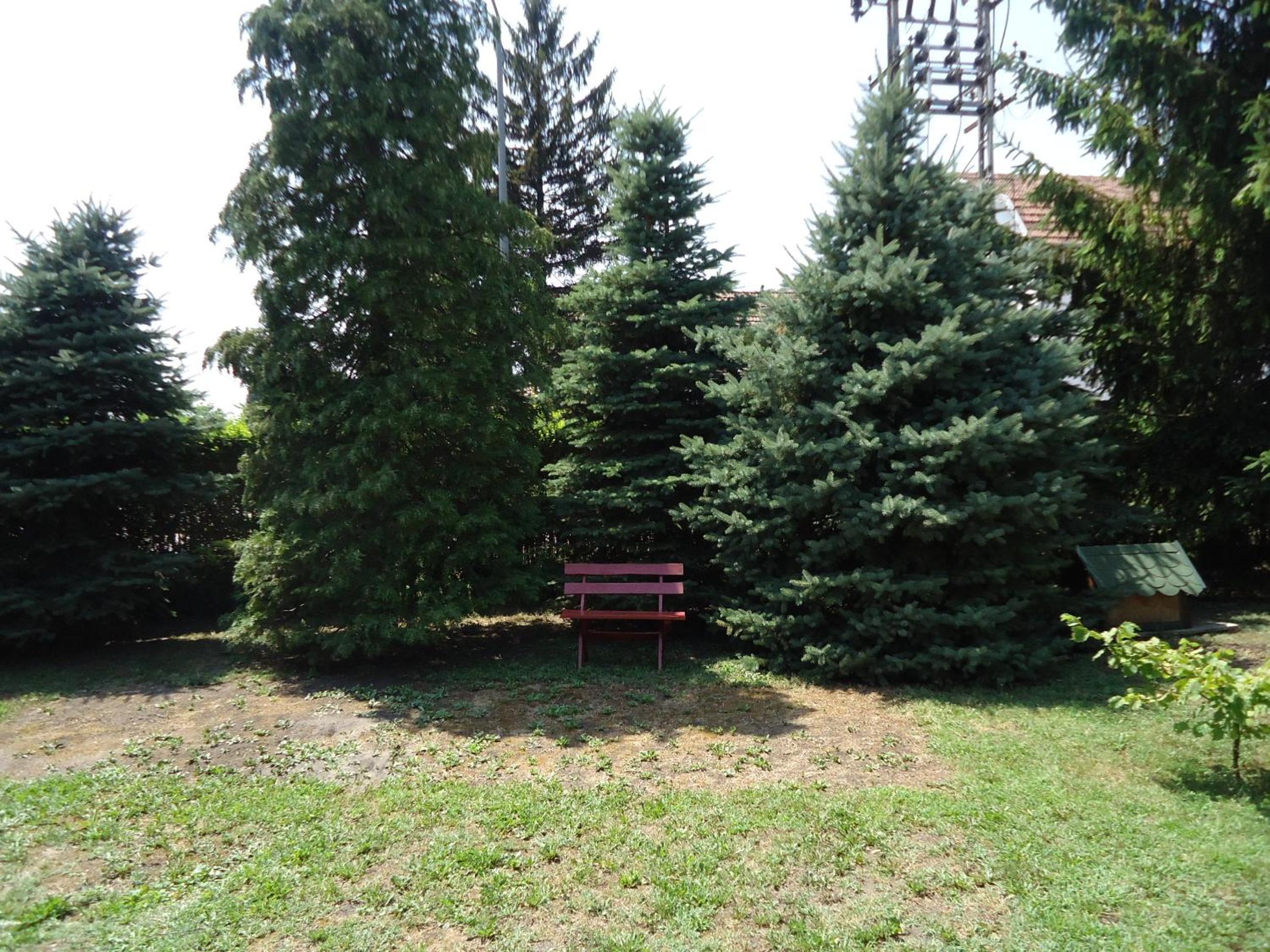 Photo 49