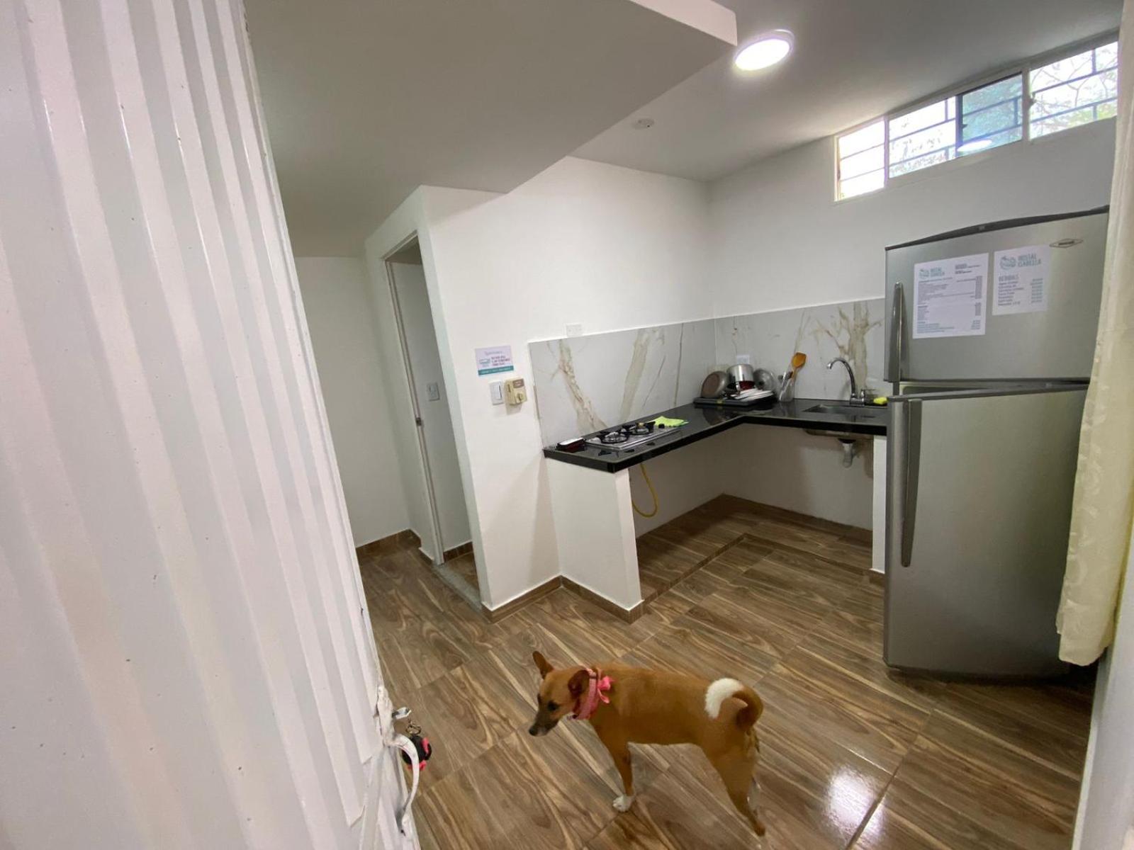 Isabella Habitaciones y aptos cerca del Aeropuerto y Playa