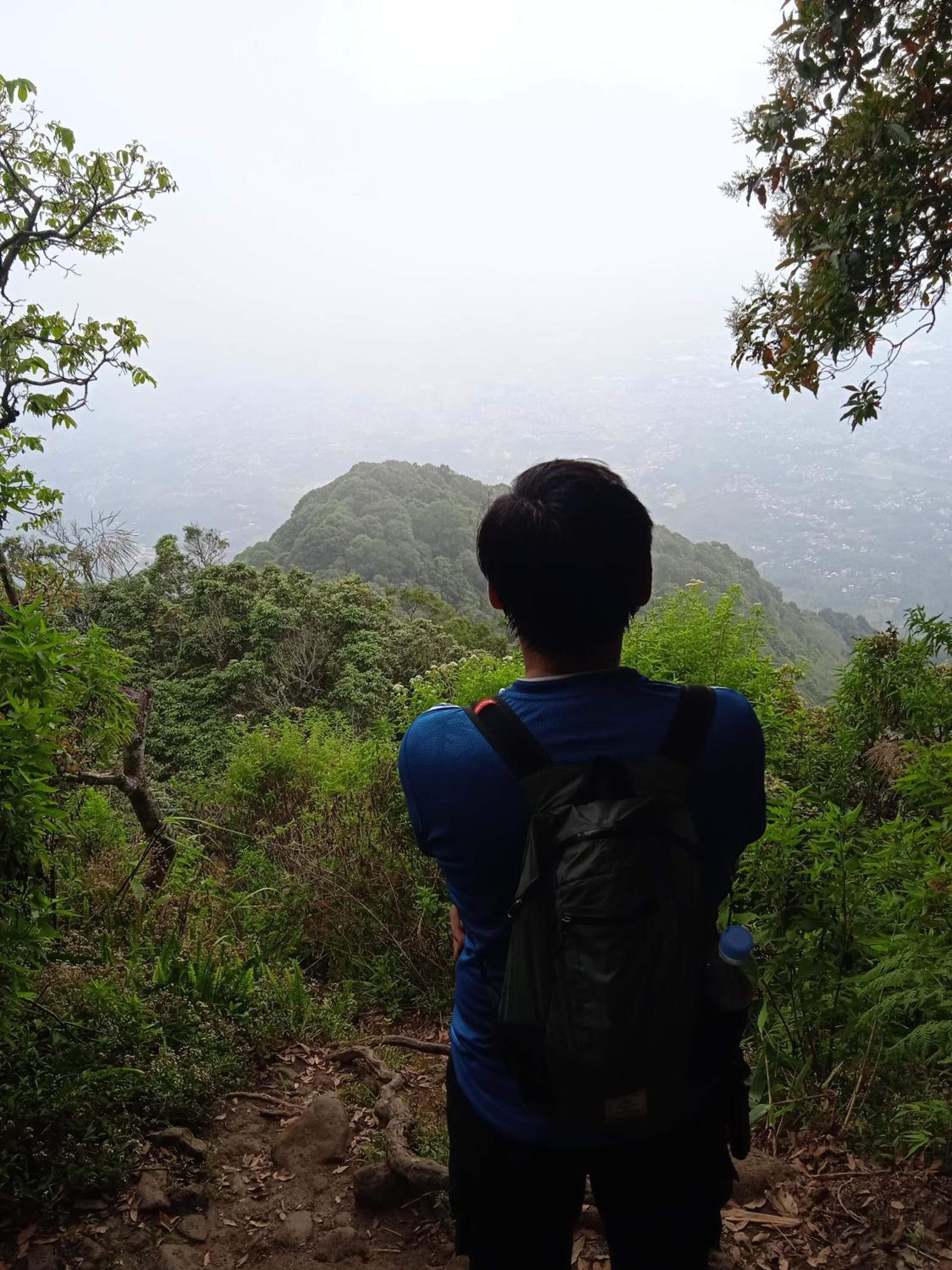 villa teduh view 5