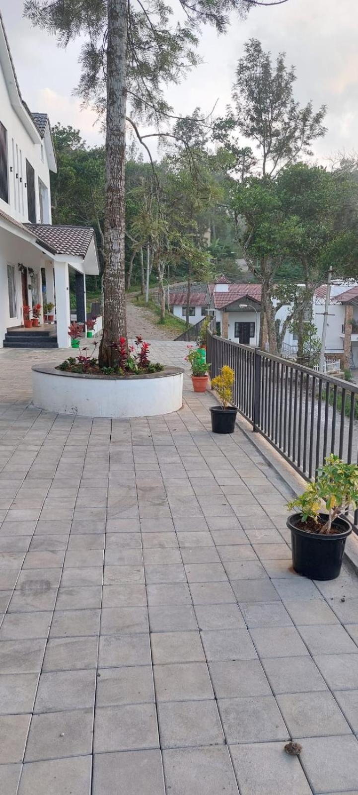 HillTop in greany meadows yercaud view 4