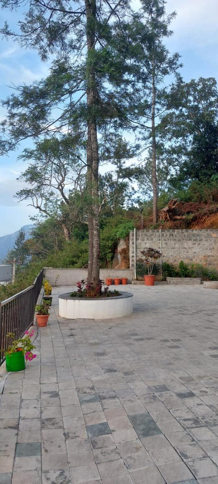 HillTop in greany meadows yercaud view 2