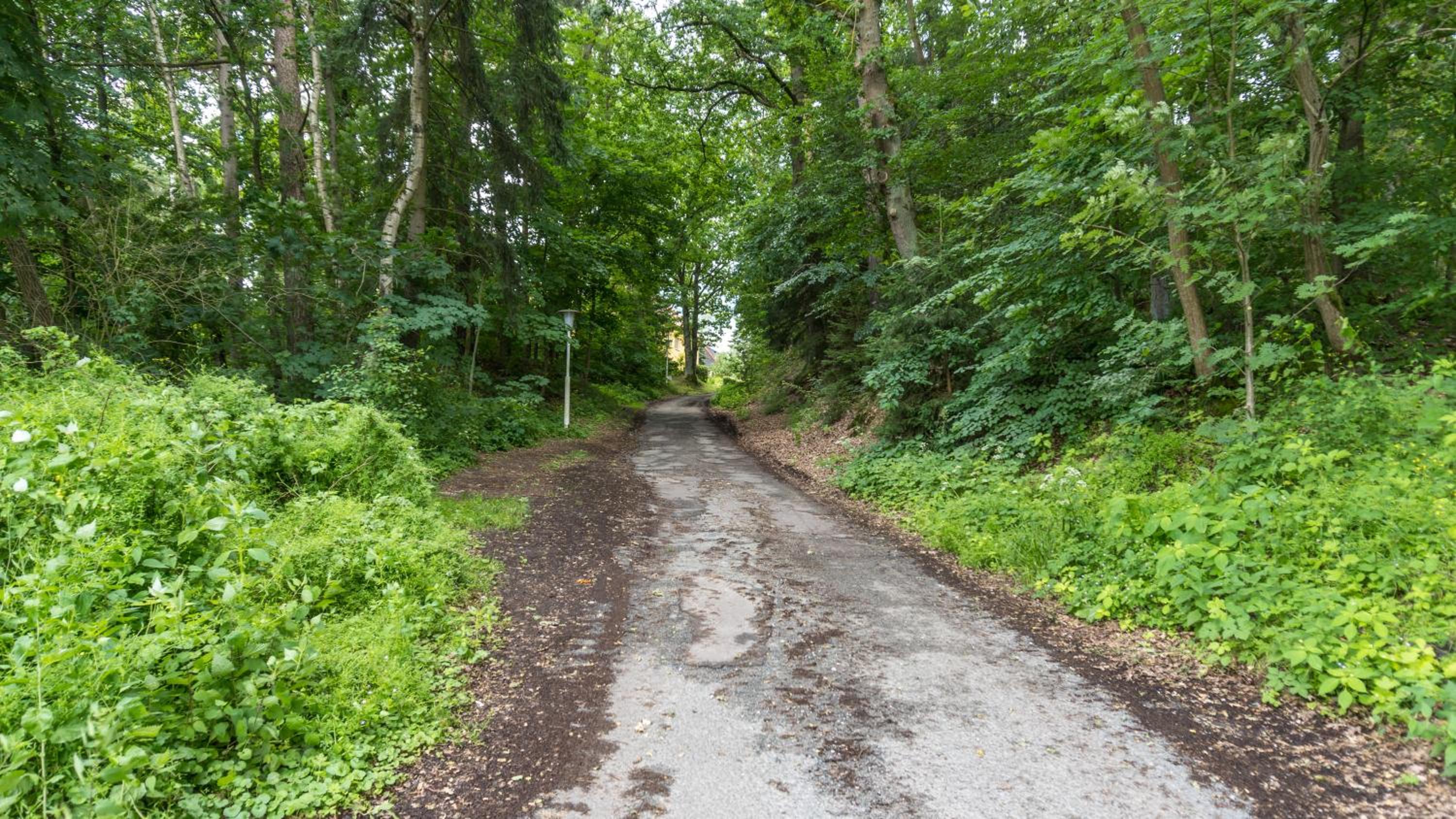 BohnApartments Juwel am See, mitten in der Natur - Parkplatz - Kamin - WLAN - Nähe Erfurt