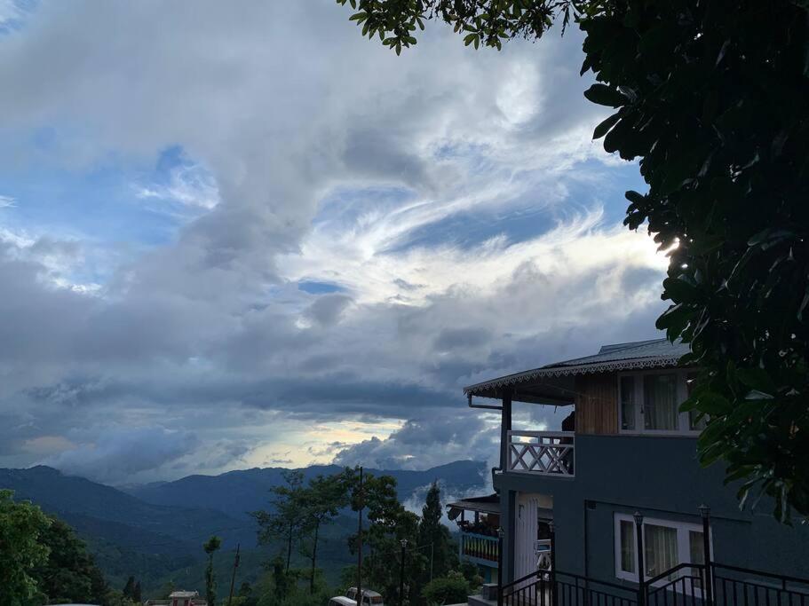 Pine Forest Retreat view 3