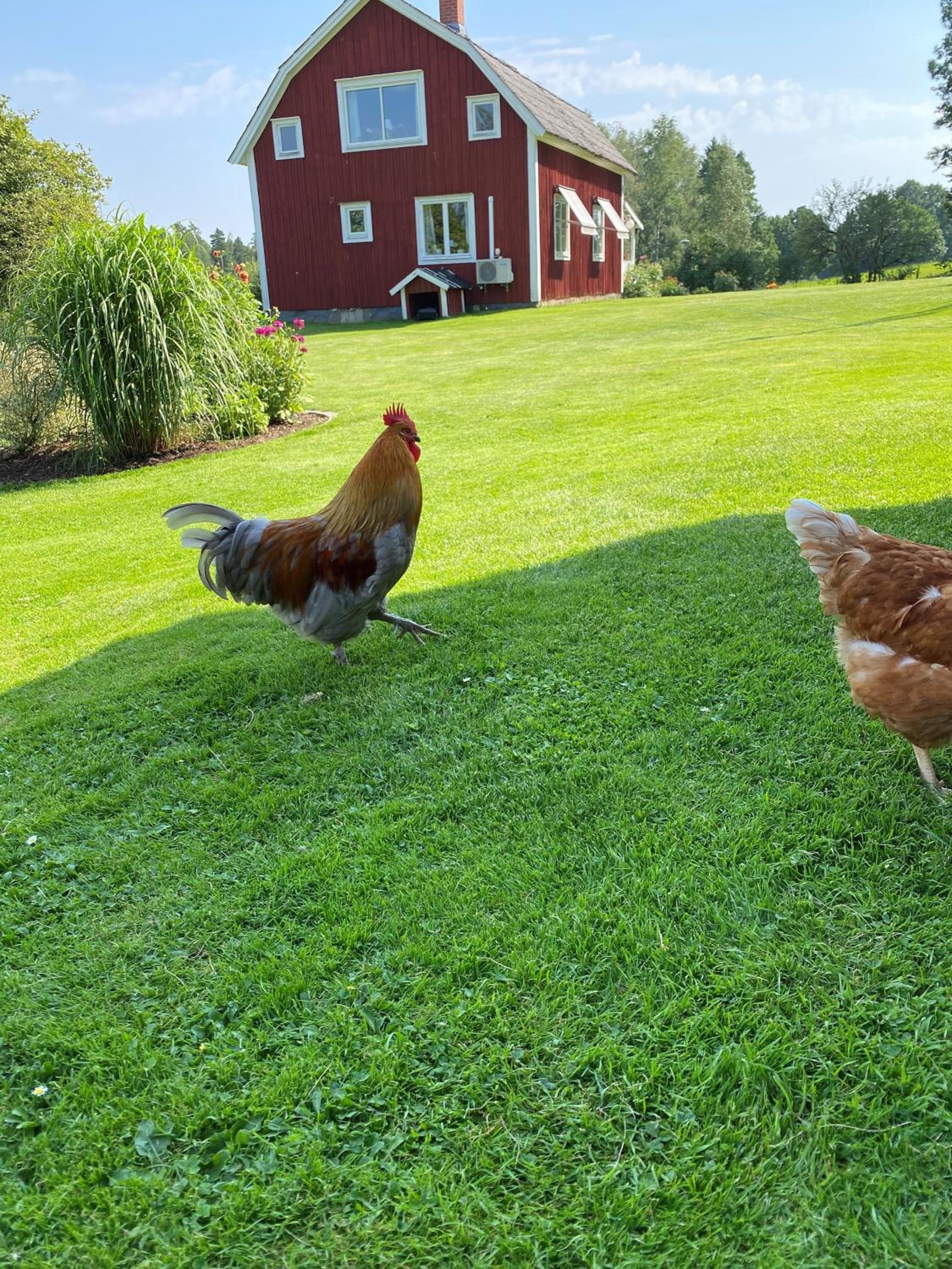 Villa på landet i Kulltorp