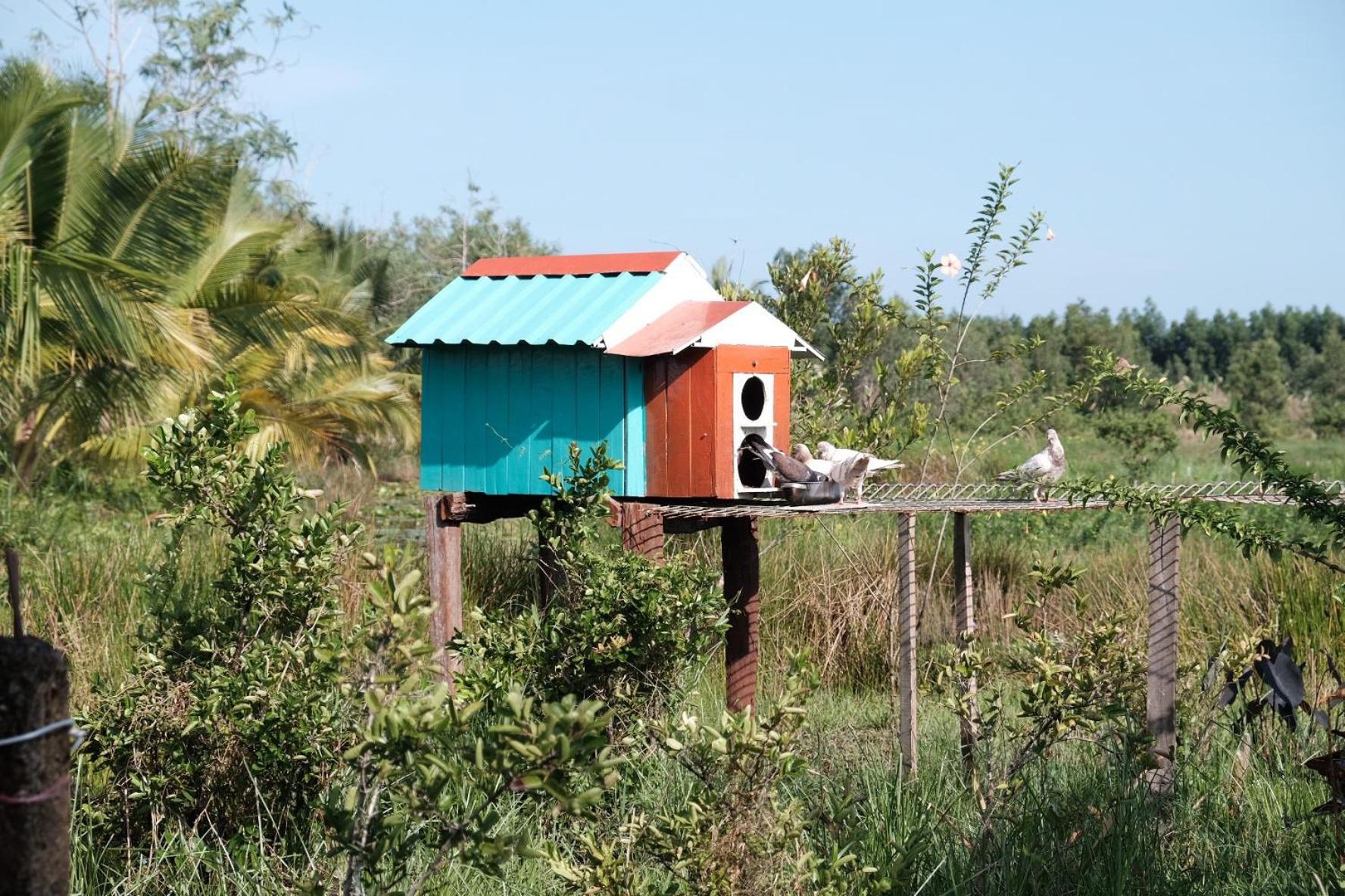 Photo 17