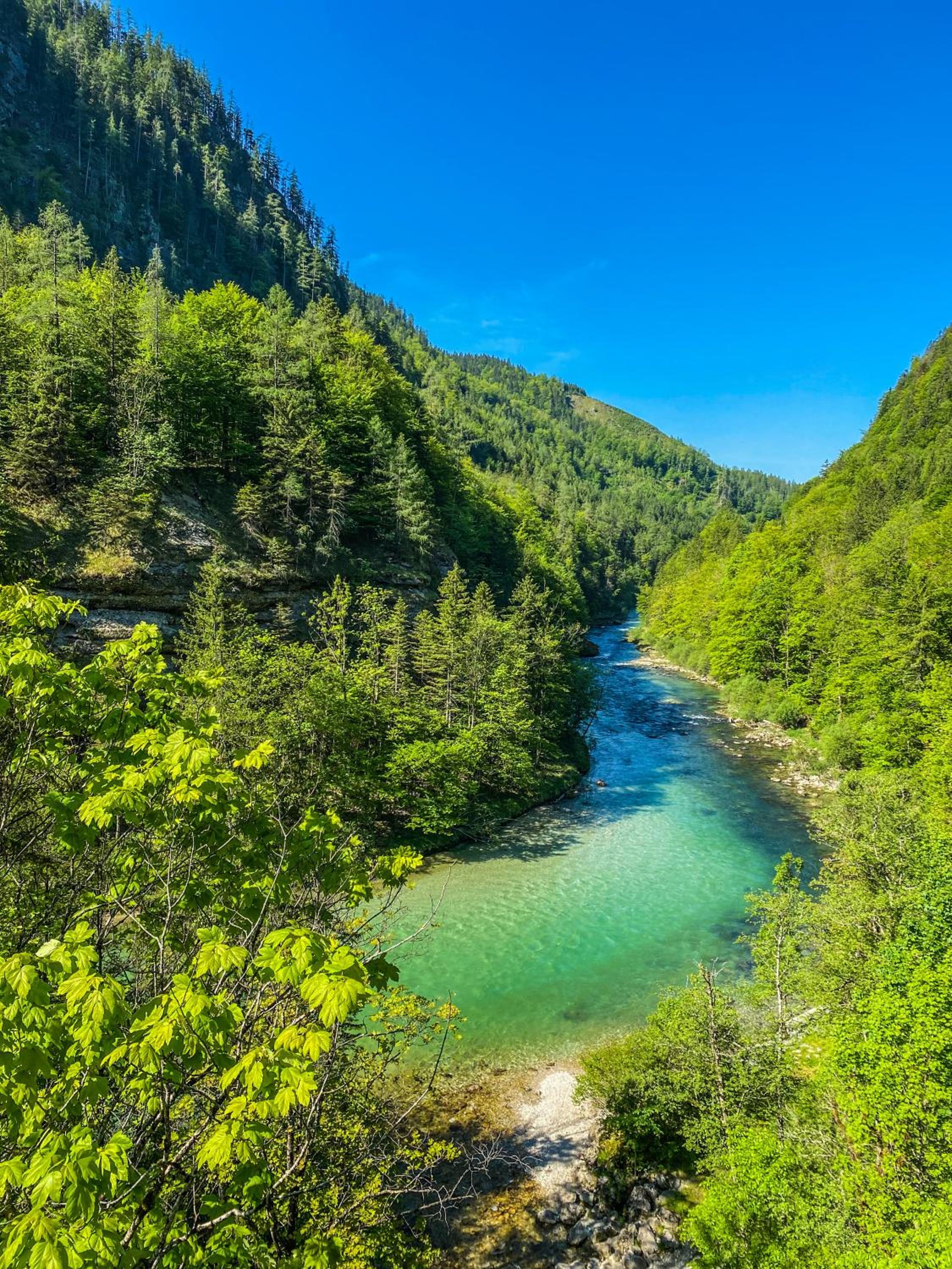Chalet Wildalpen (in Ruhelage & mit Wellness)