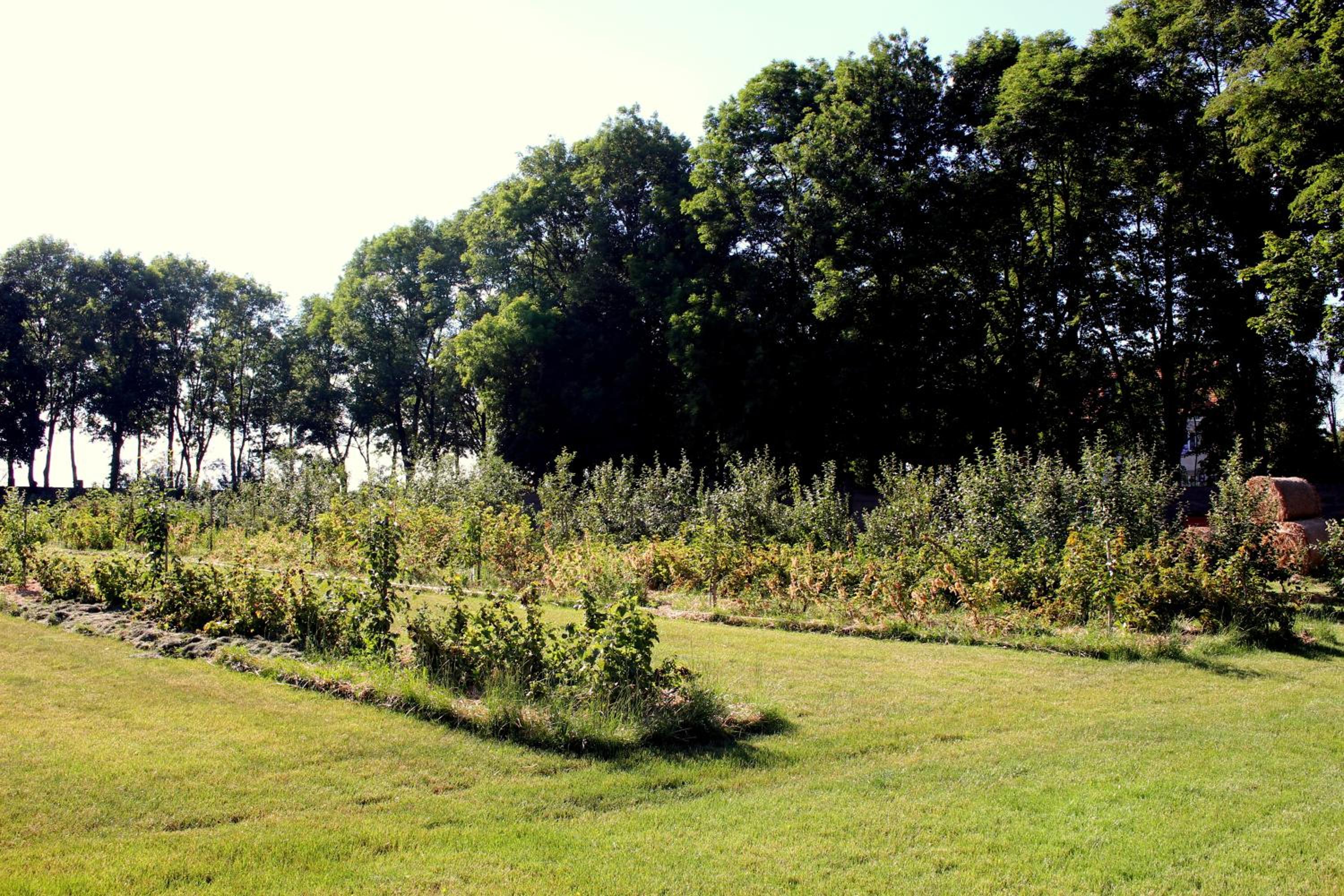 Pałac Cieleśnica