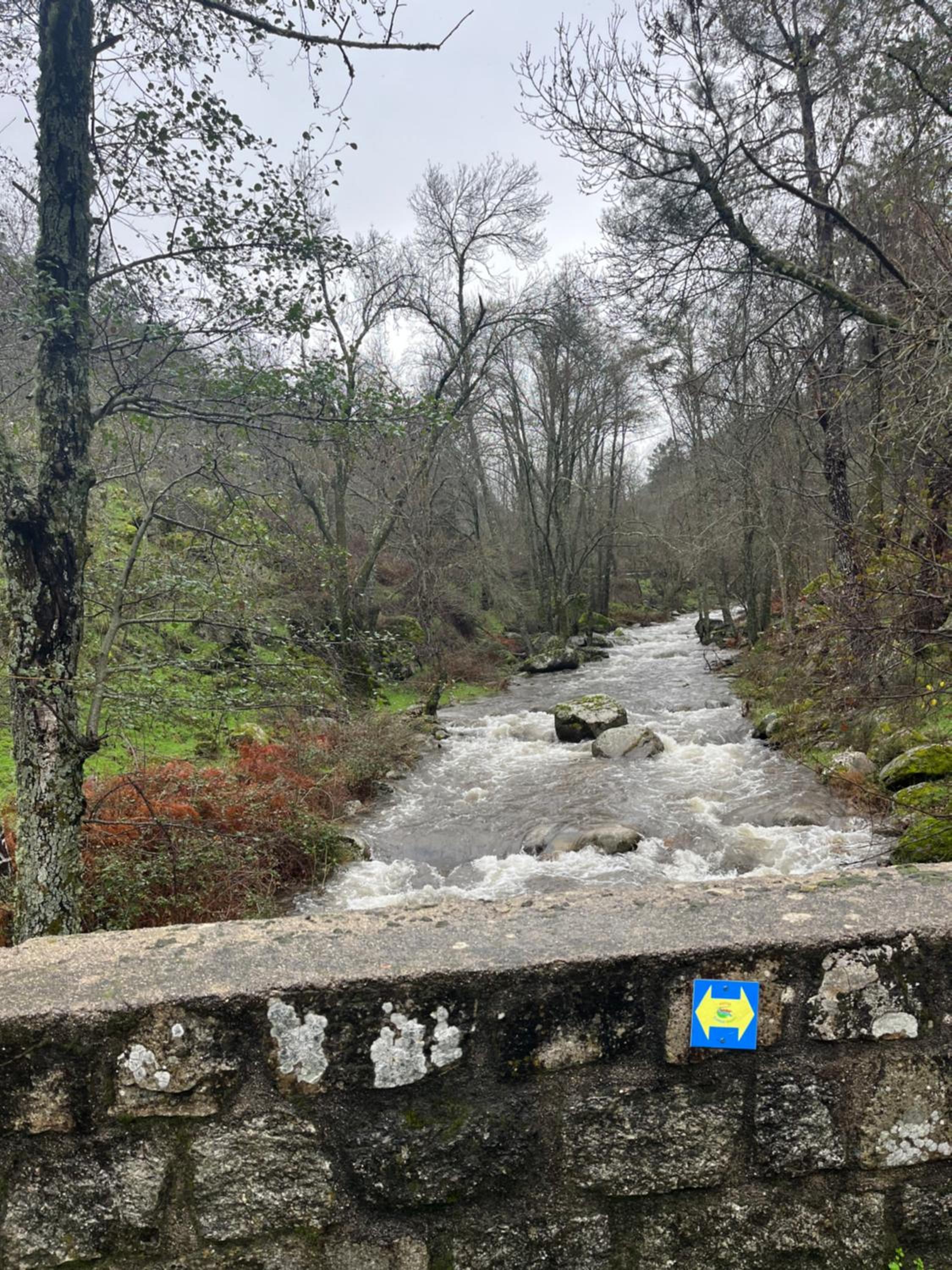 El Secreto del Arroyo