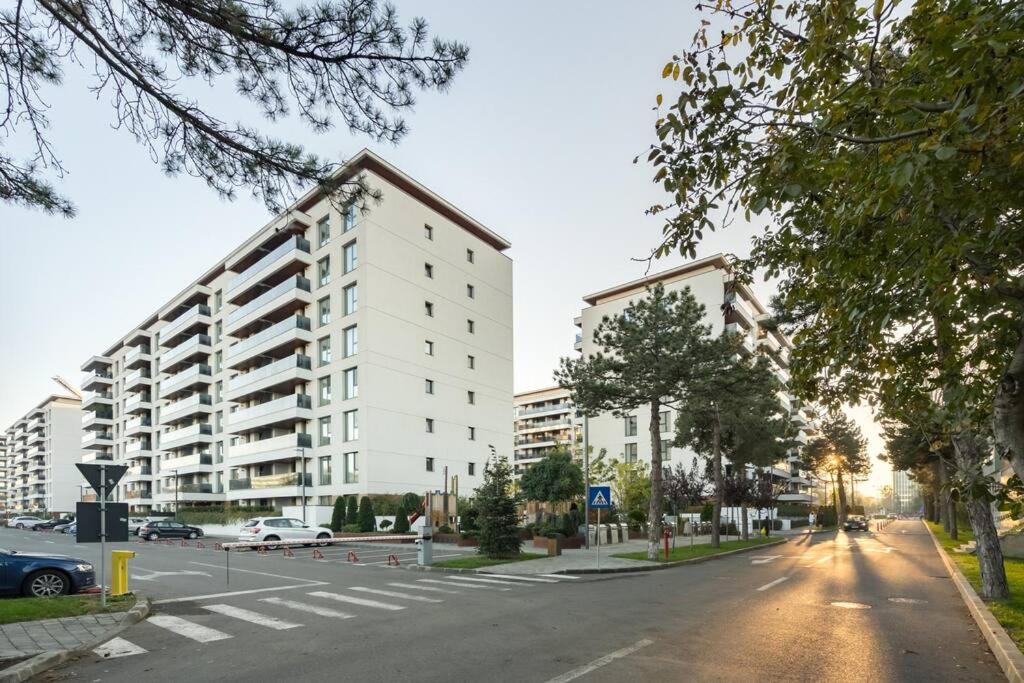 Tribal 1BR in Aviatiei