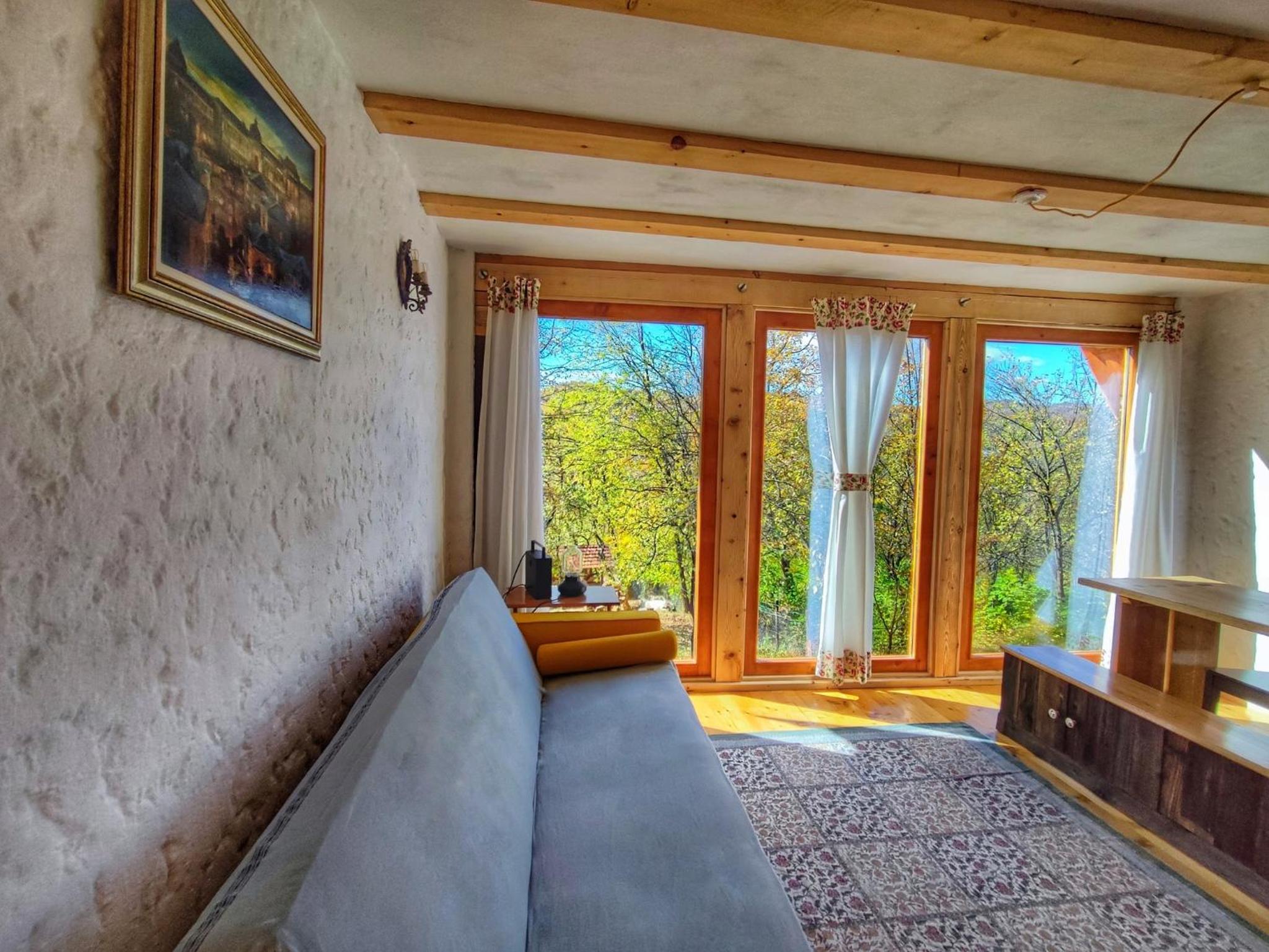 La sat - Blândă Mărie view 4