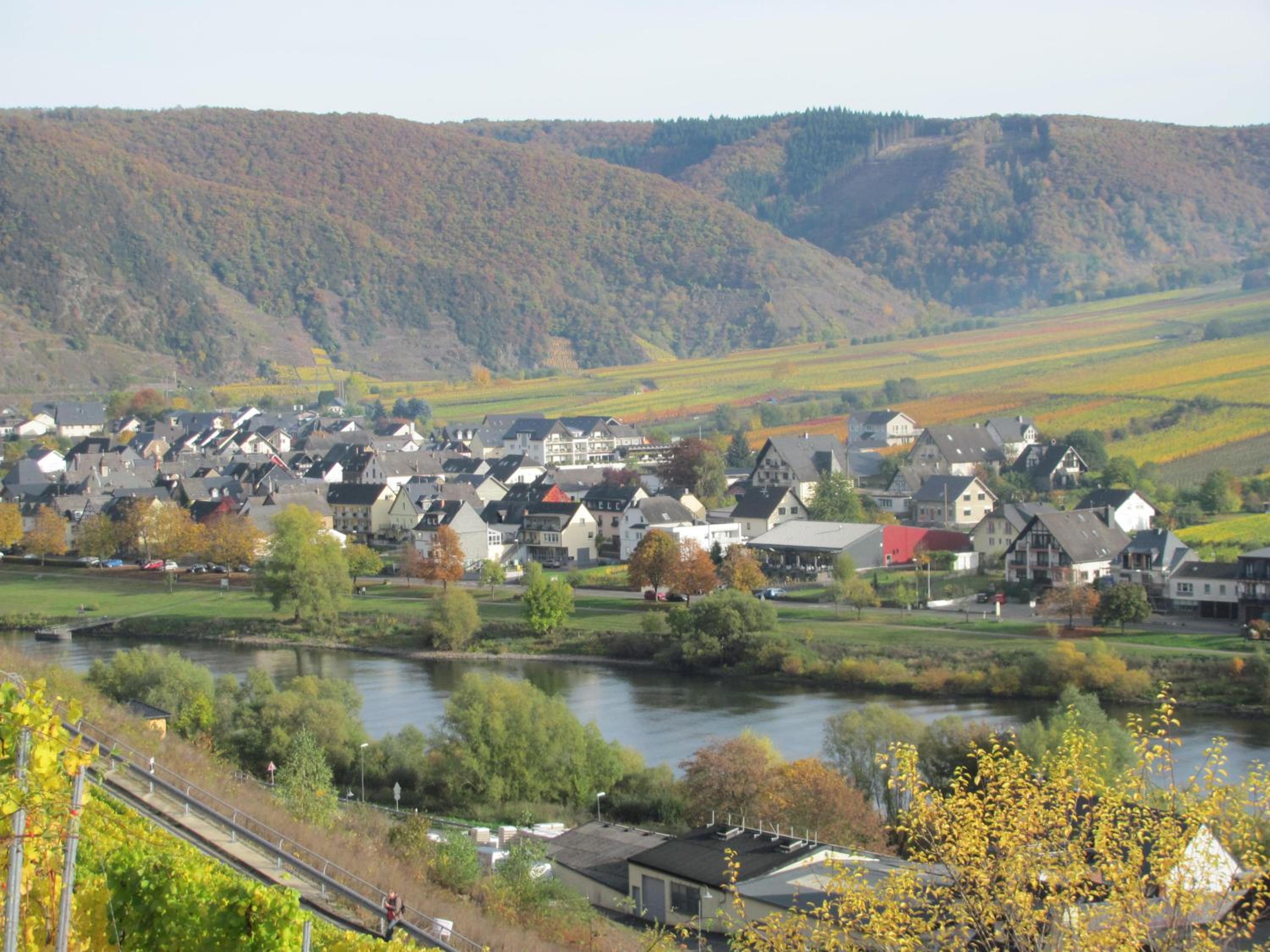 Weinhotel Sonnenschein