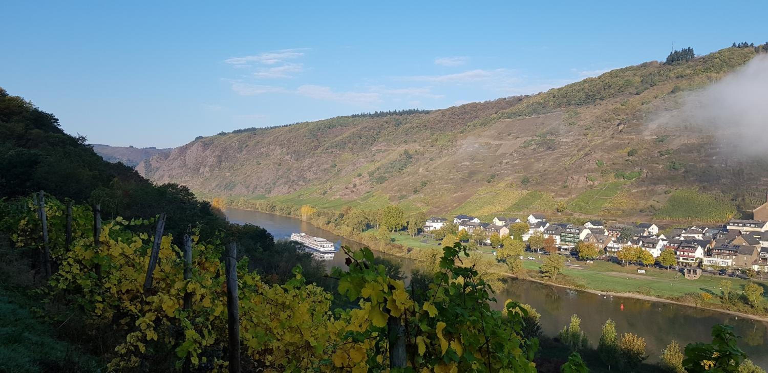Weinhotel Sonnenschein
