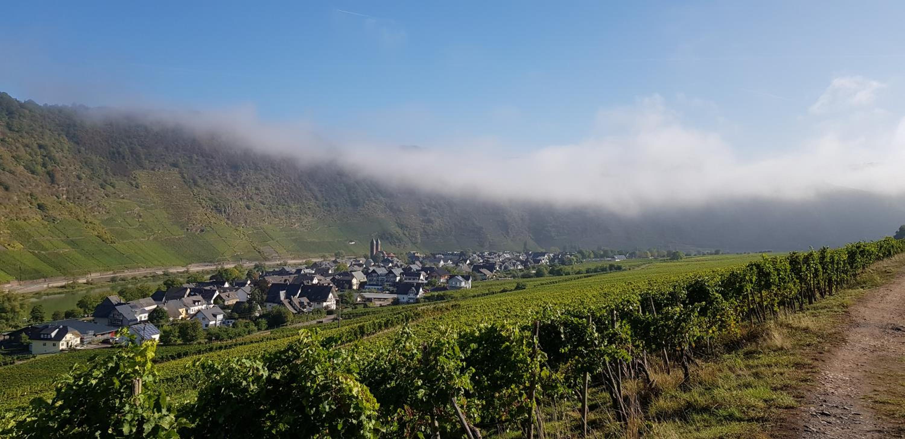 Weinhotel Sonnenschein