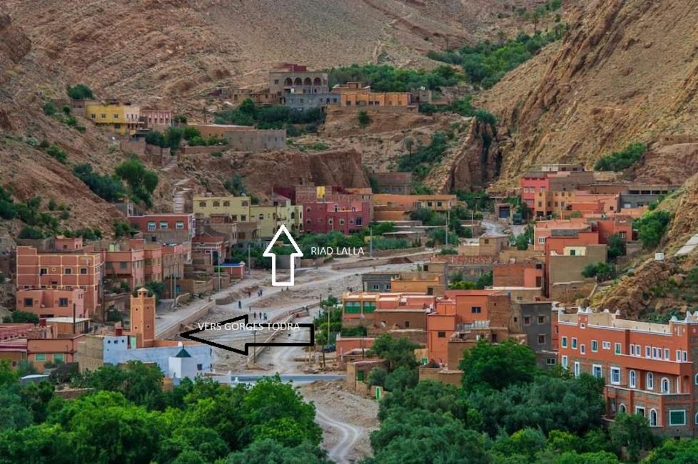 Riad Lalla