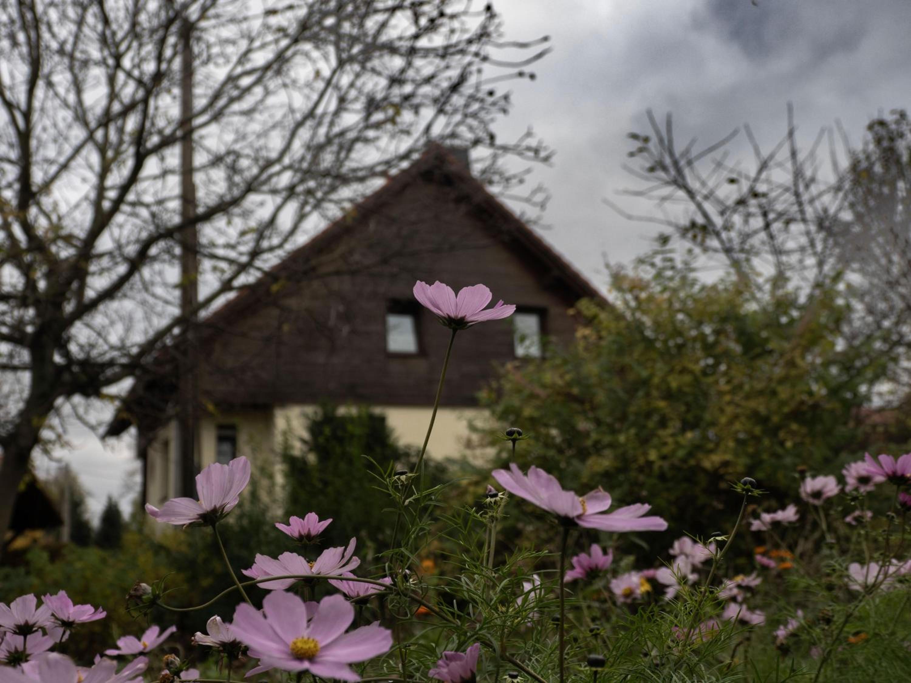 Ferienhaus Oelsener Höhe