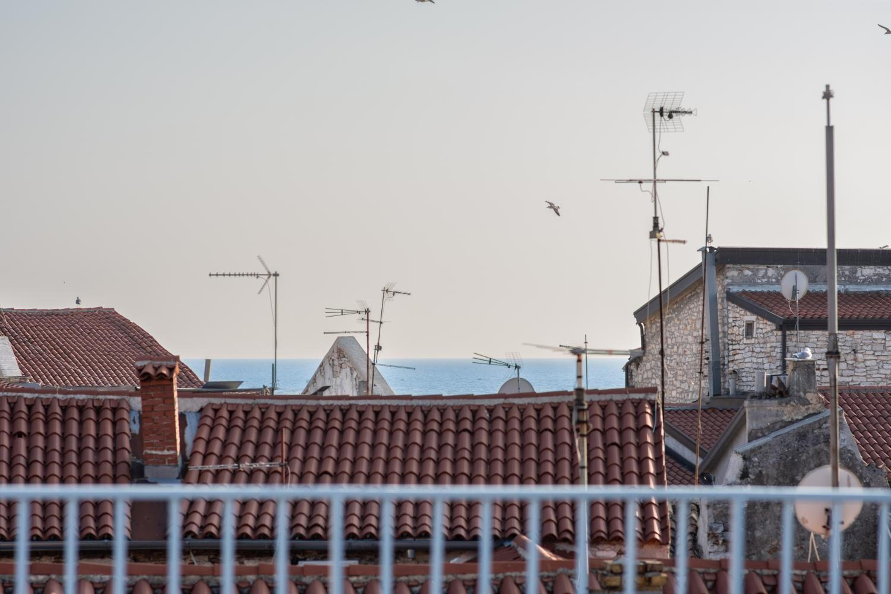 roof