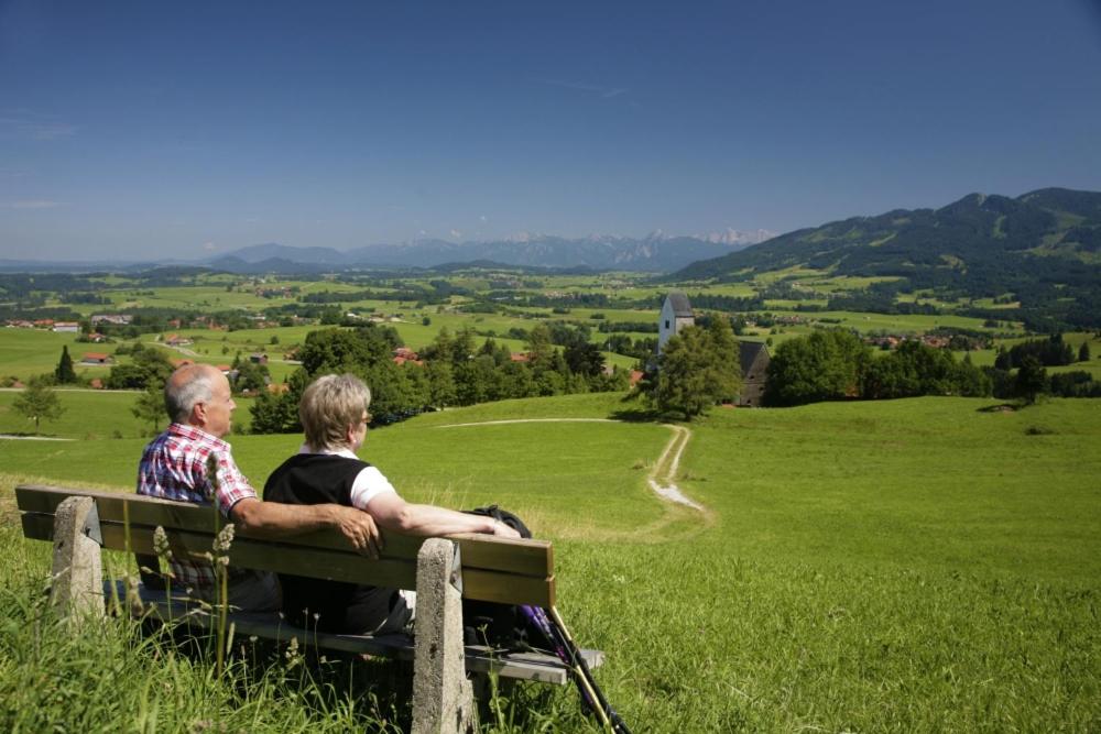 Urheim Rose - Dogfriendly