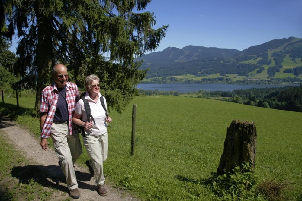 Urheim Rose - Dogfriendly