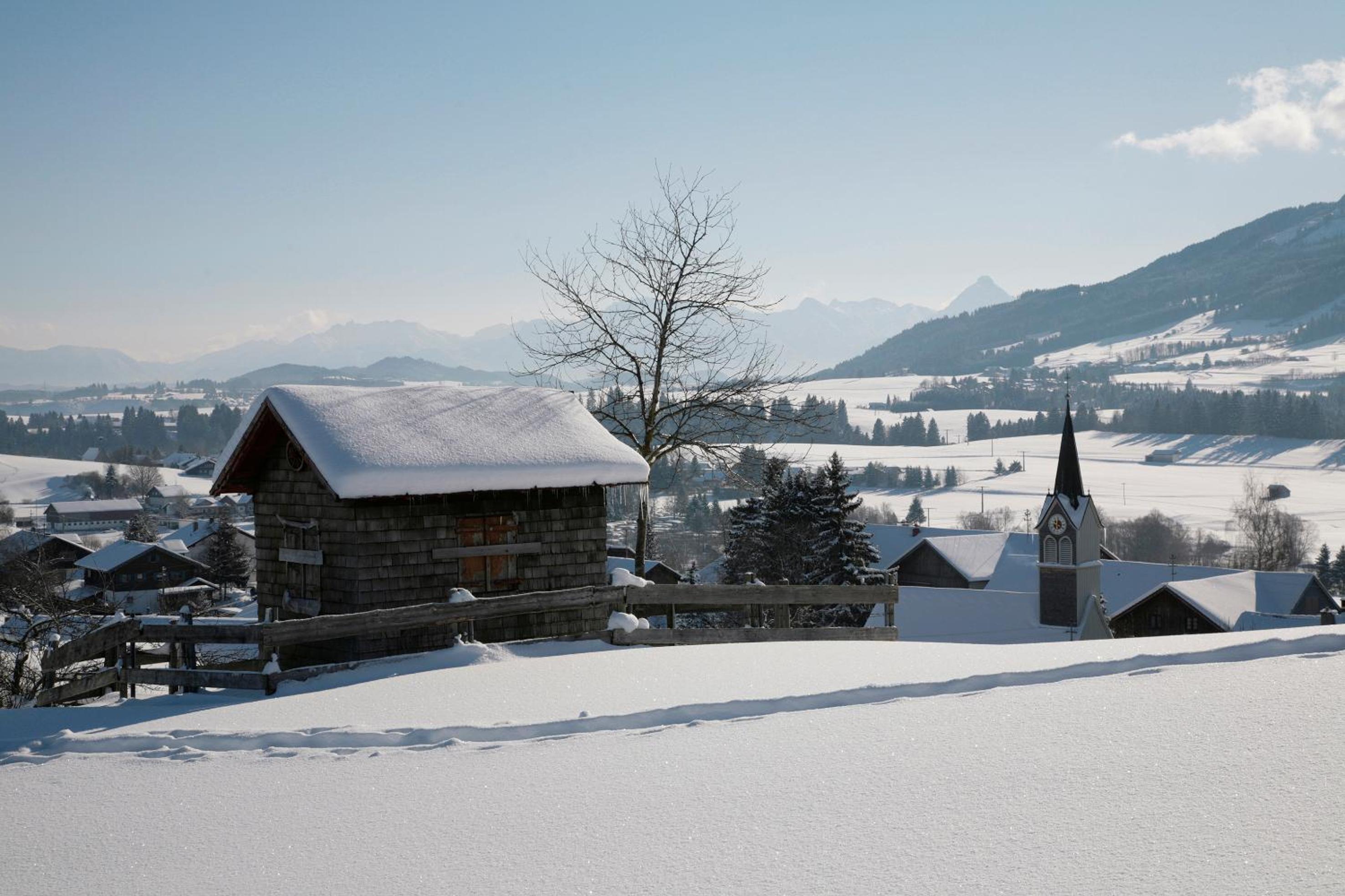 Urheim Rose - Dogfriendly