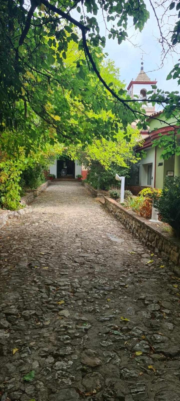 Apartamento Bronce
