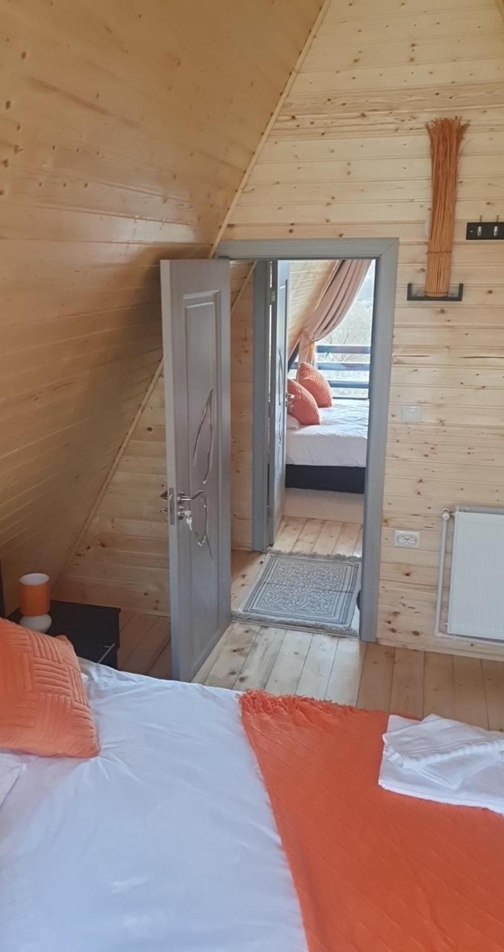 Cabana Apuseni Forest