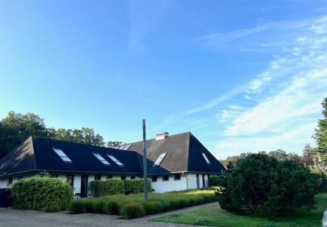 HAUS DOHRMANN - mit direktem Strandzugang,moderne, ruhig gelegene Ferienwohnungen mit Terrasse view 3